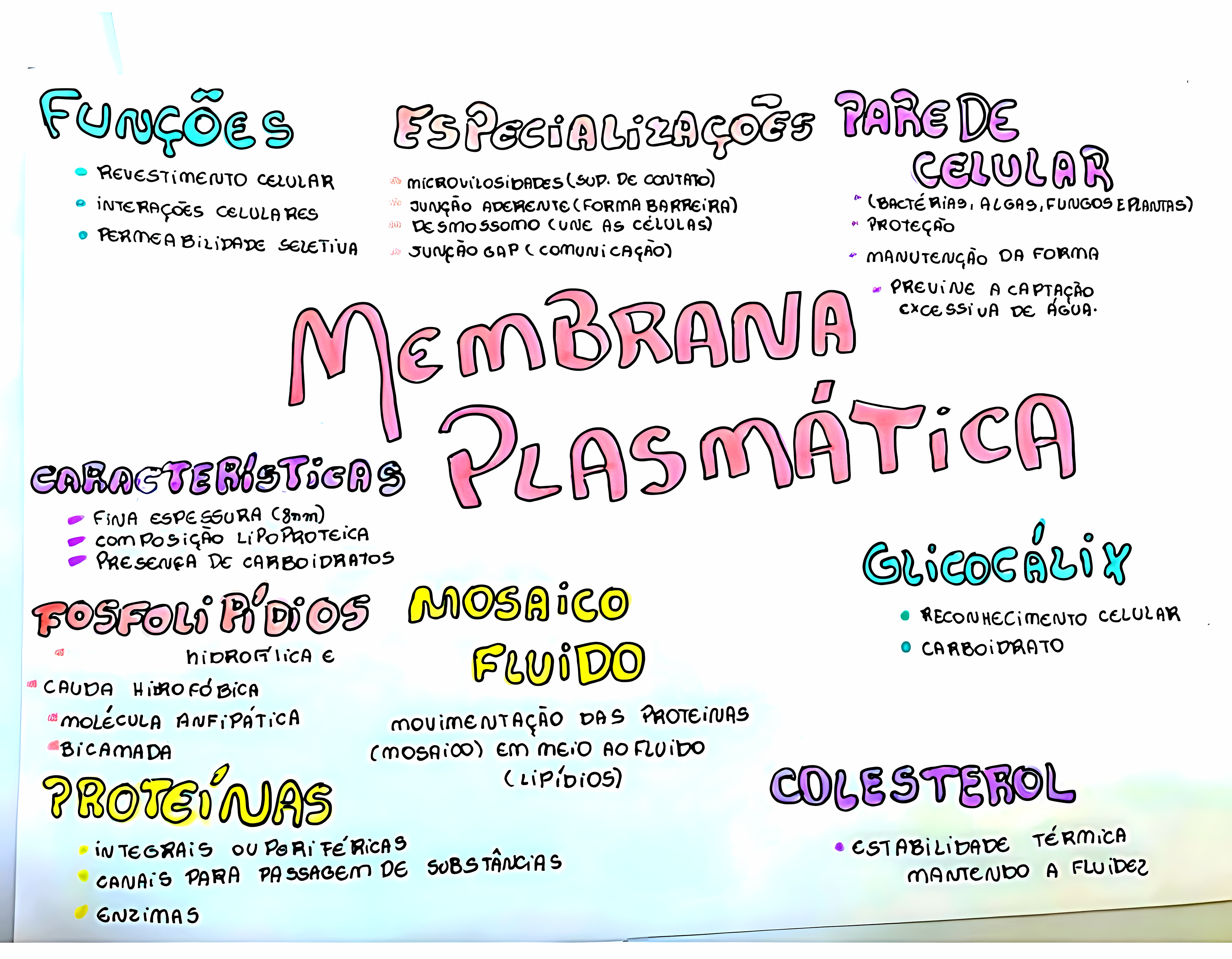 MAPA MENTAL SOBRE MEMBRANA CELULAR