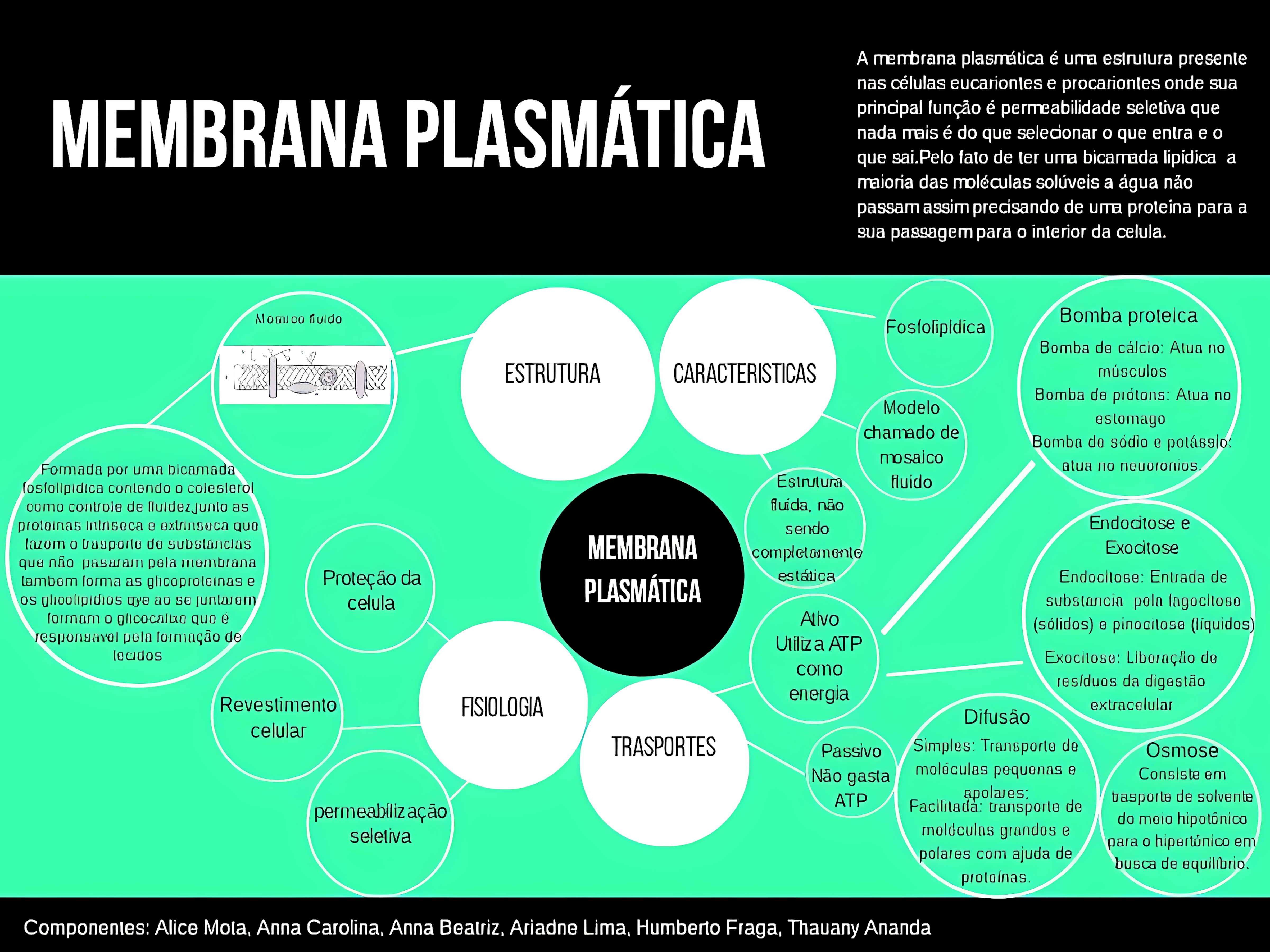 MAPA MENTAL SOBRE MEMBRANA CELULAR