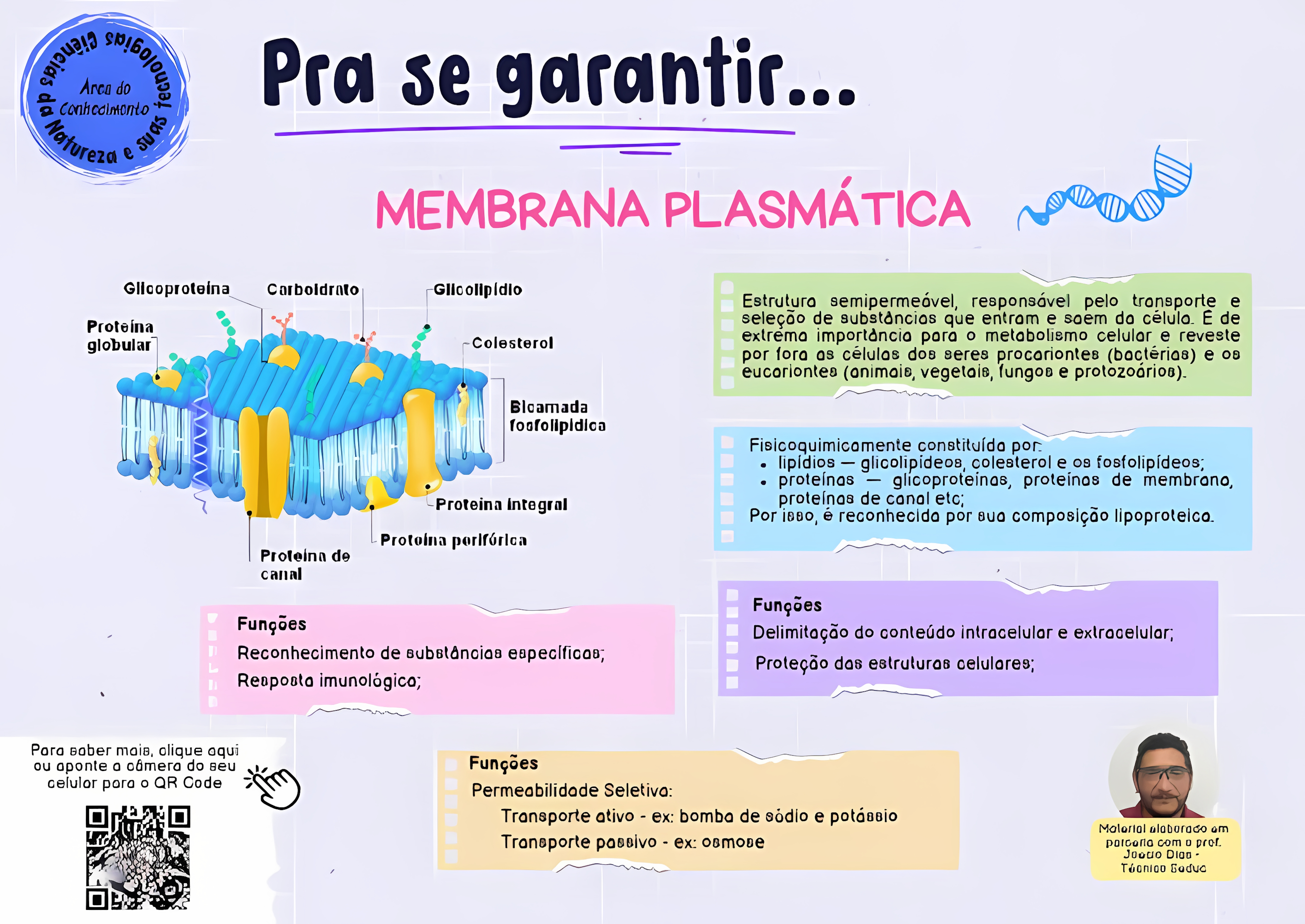 MAPA MENTAL SOBRE MEMBRANA CELULAR