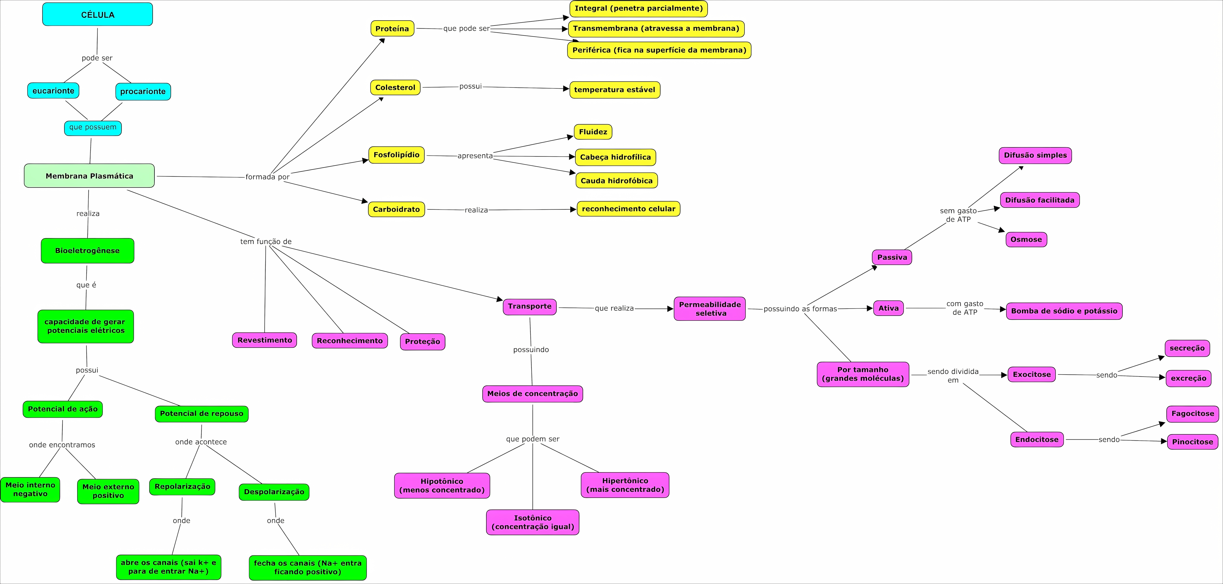 MAPA MENTAL SOBRE MEMBRANA CELULAR