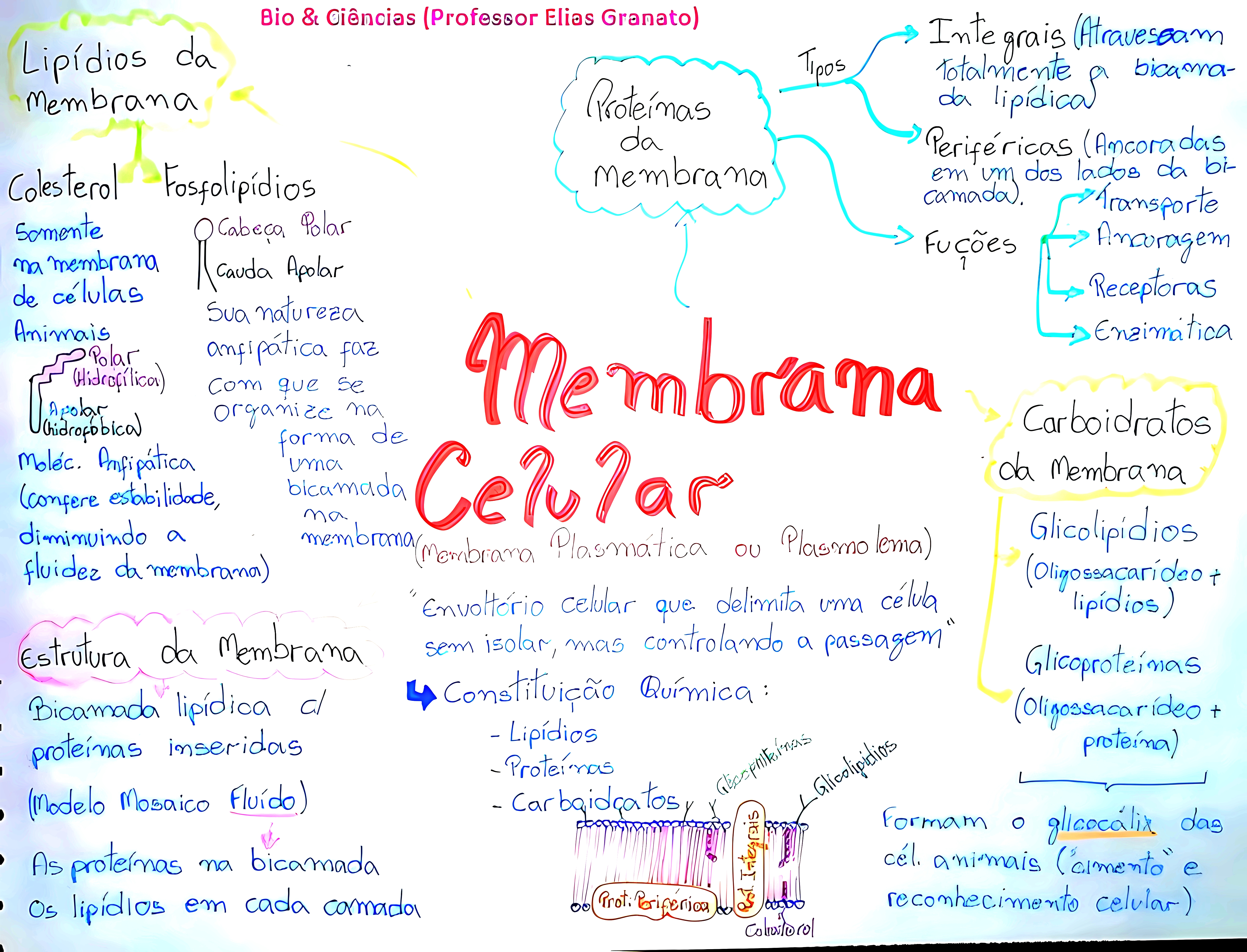 MAPA MENTAL SOBRE MEMBRANA CELULAR
