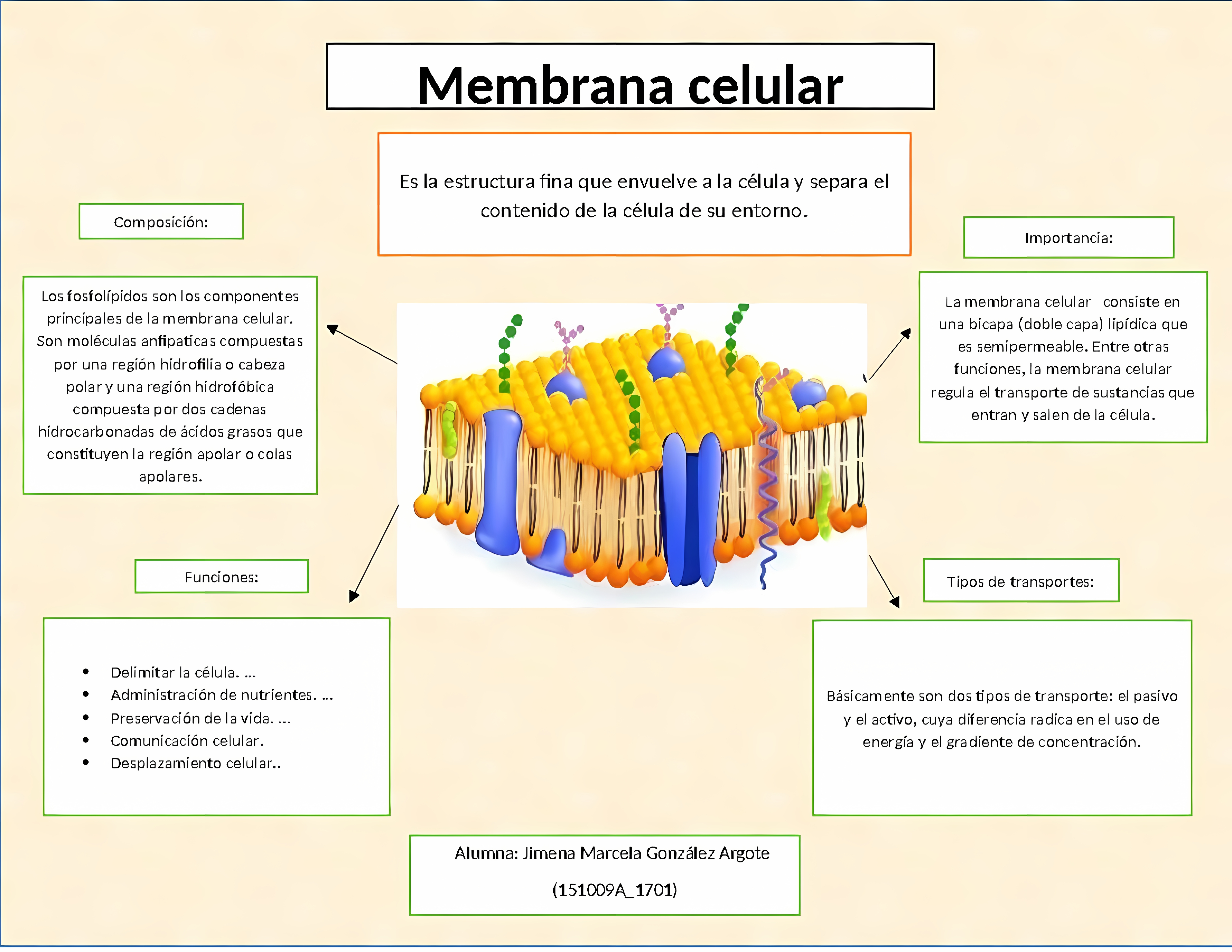 MAPA MENTAL SOBRE MEMBRANA CELULAR
