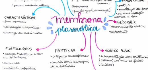 MAPA MENTAL SOBRE MEMBRANA CELULAR