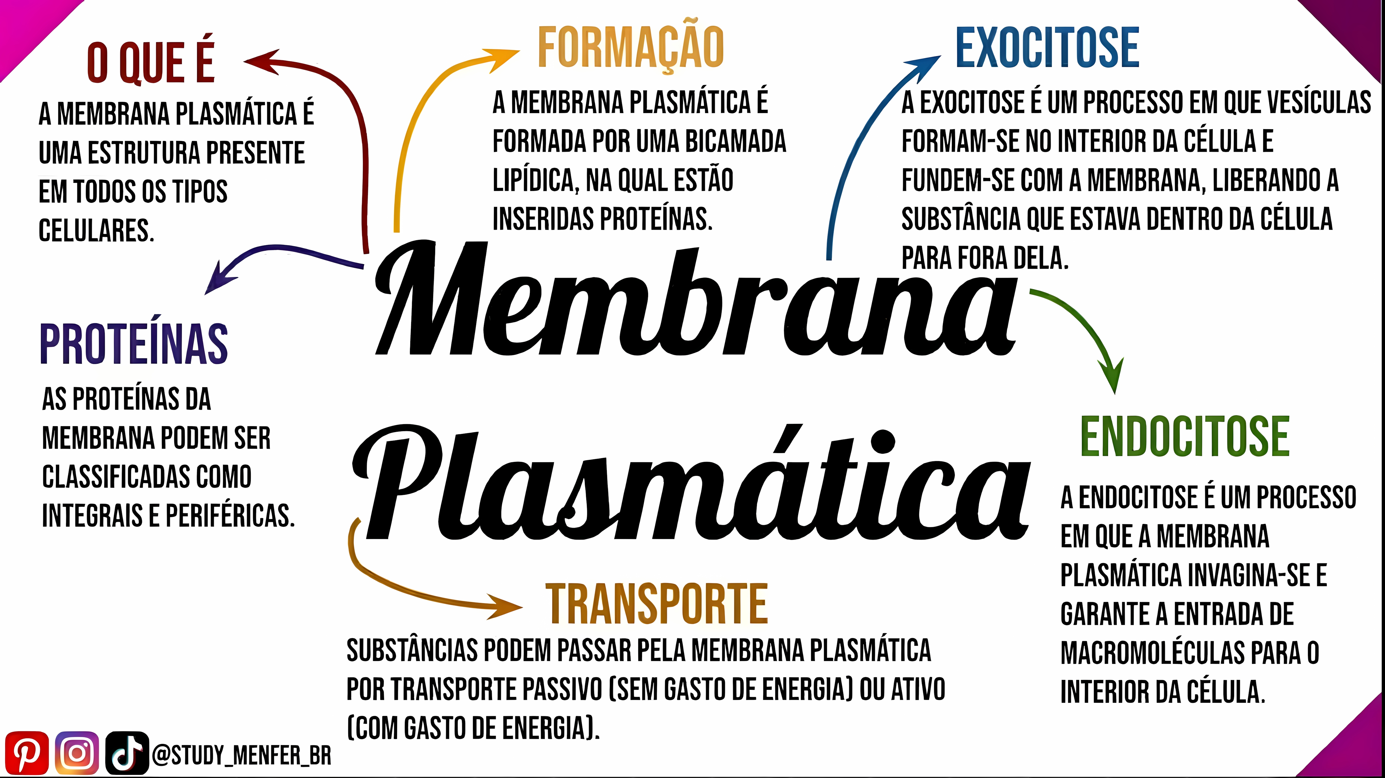 MAPA MENTAL SOBRE MEMBRANA CELULAR