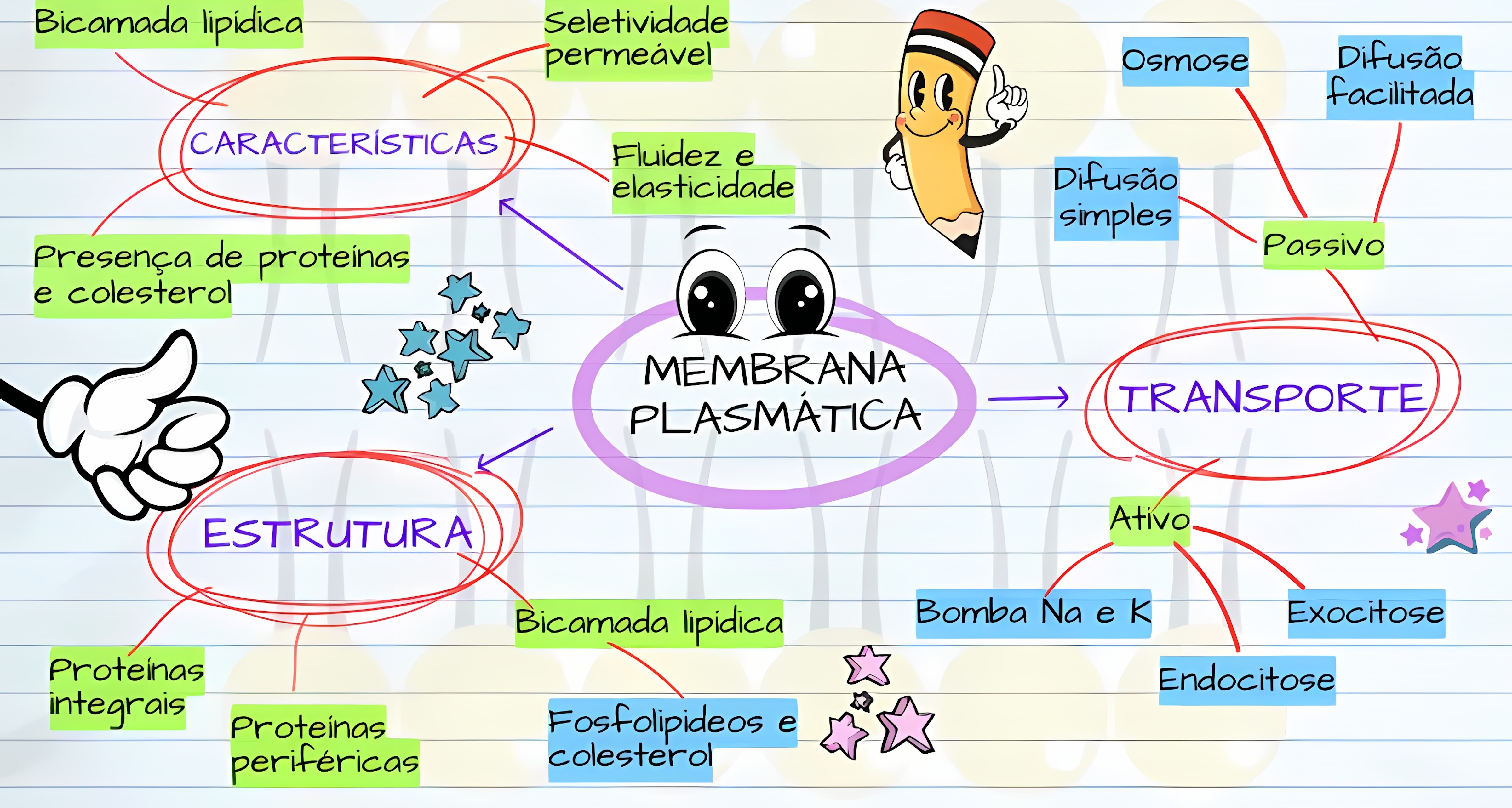 MAPA MENTAL SOBRE MEMBRANA CELULAR