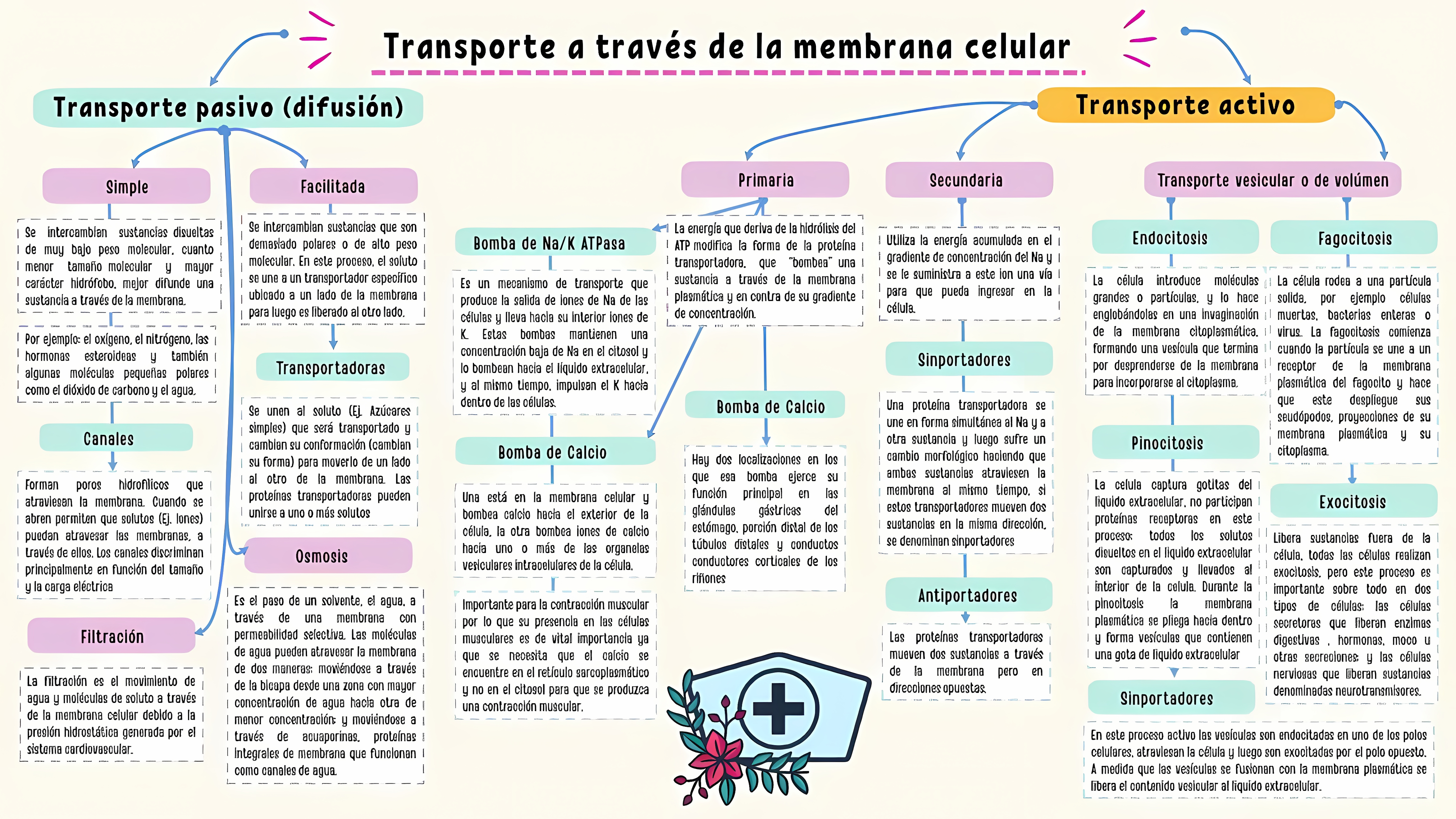 MAPA MENTAL SOBRE MEMBRANA CELULAR
