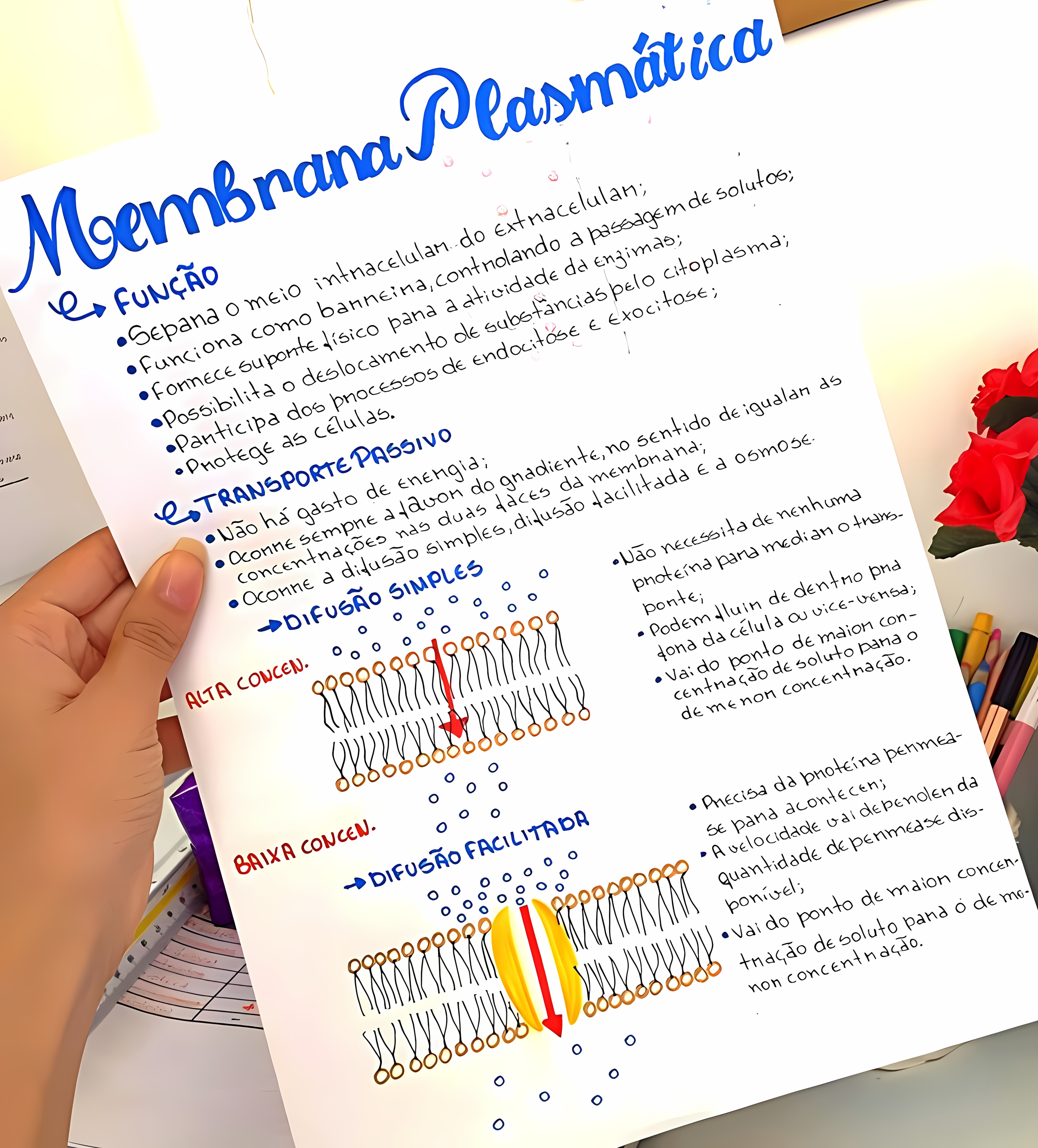MAPA MENTAL SOBRE MEMBRANA CELULAR