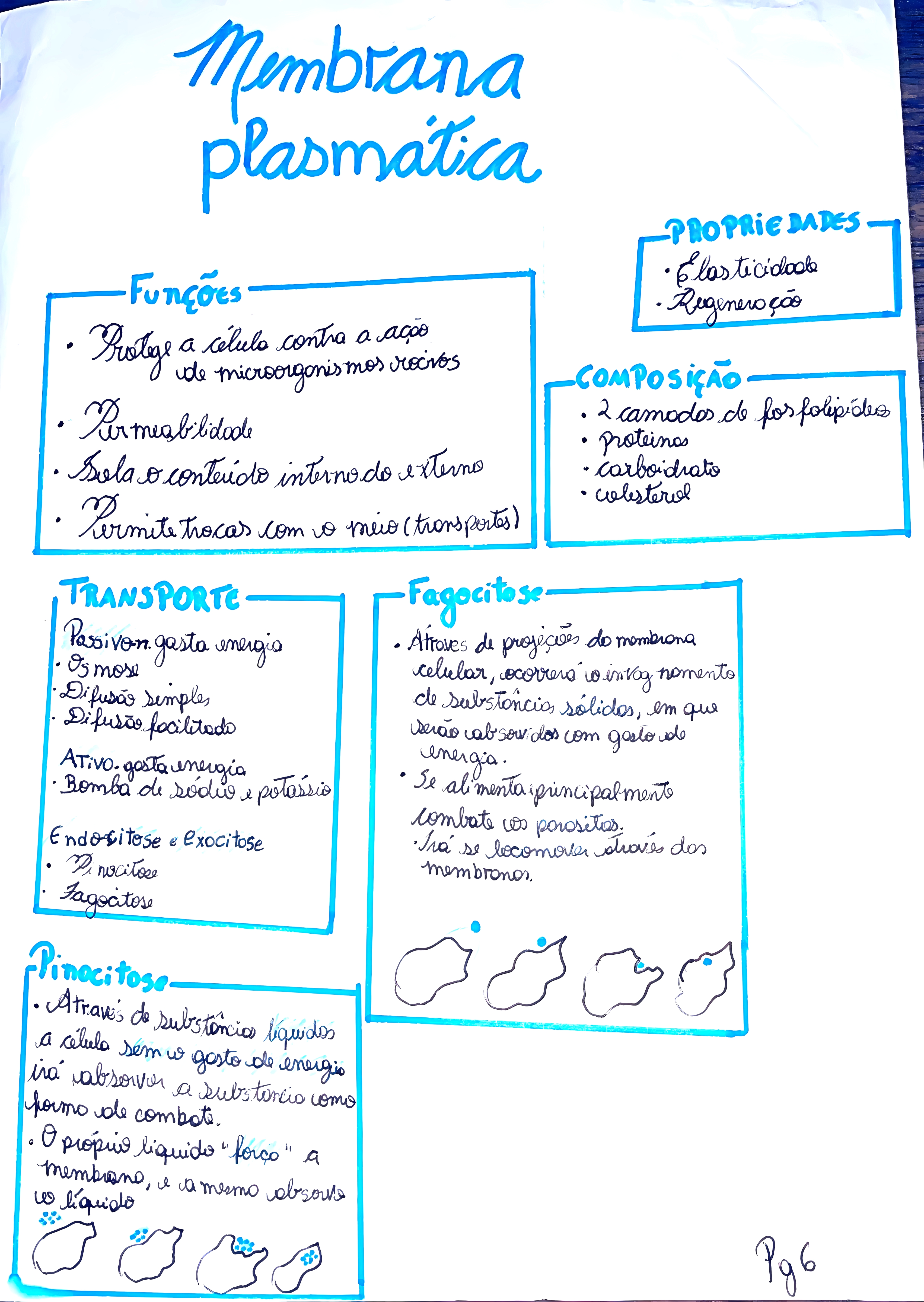 MAPA MENTAL SOBRE MEMBRANA CELULAR