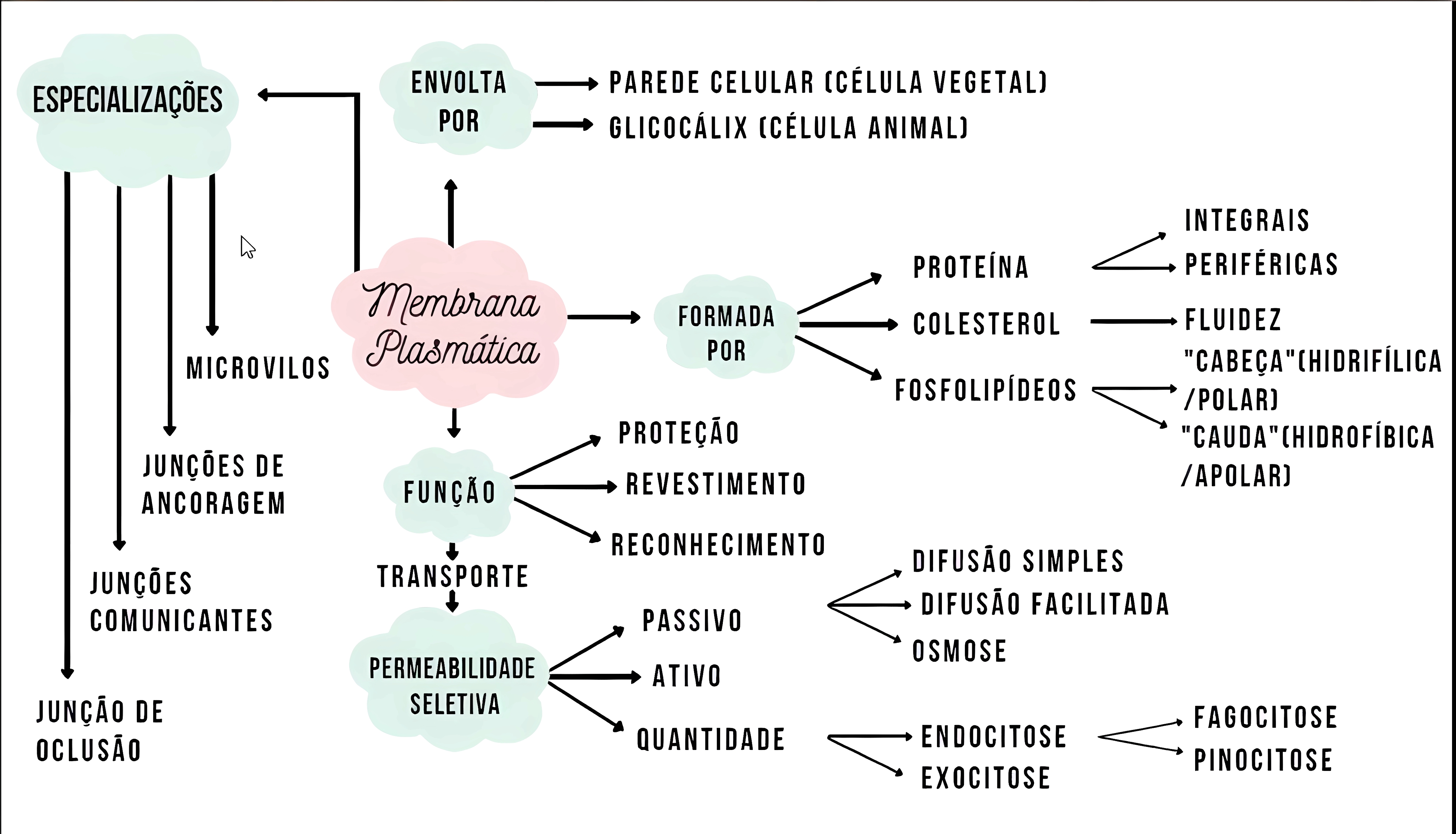MAPA MENTAL SOBRE MEMBRANA CELULAR