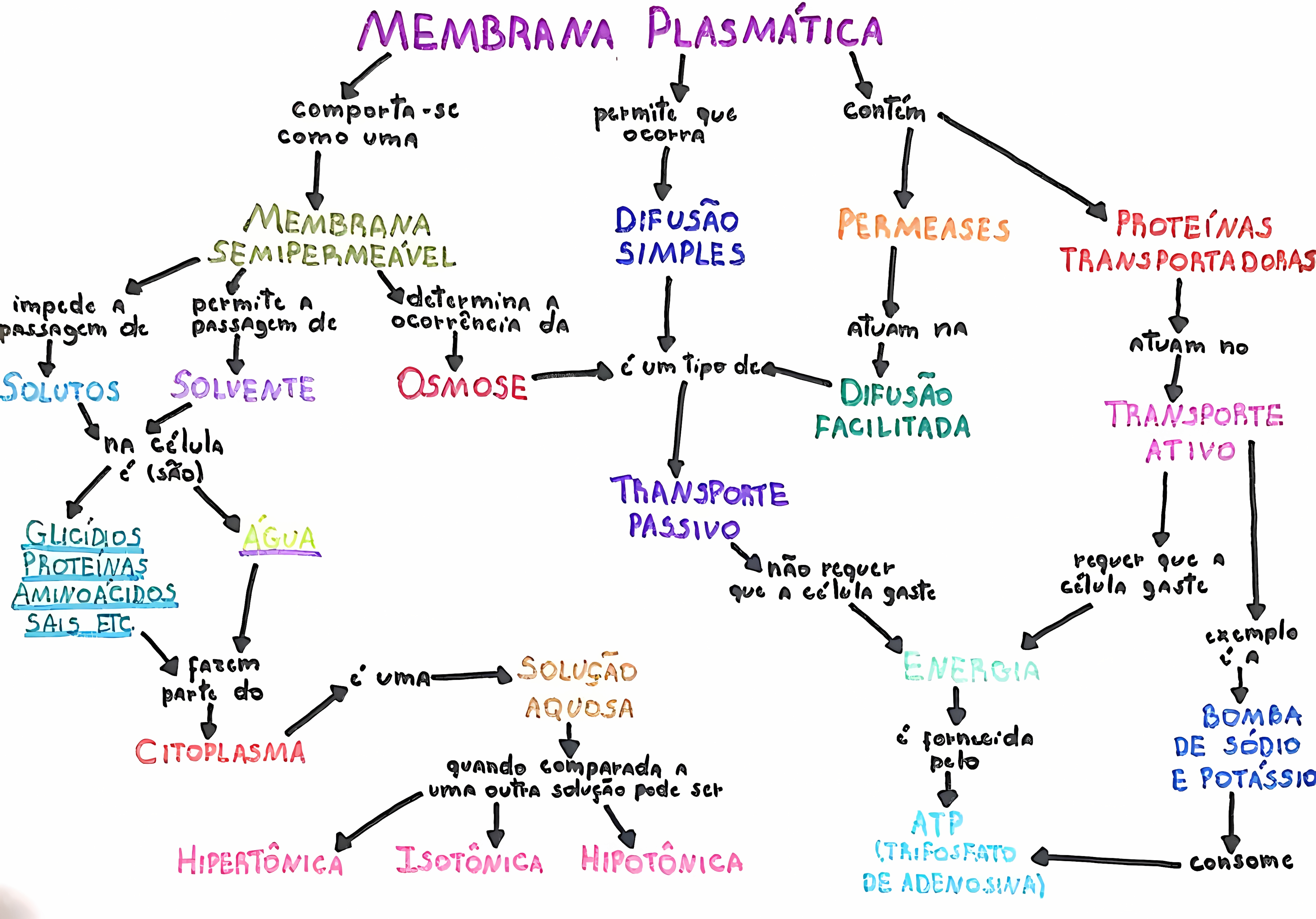 MAPA MENTAL SOBRE MEMBRANA CELULAR