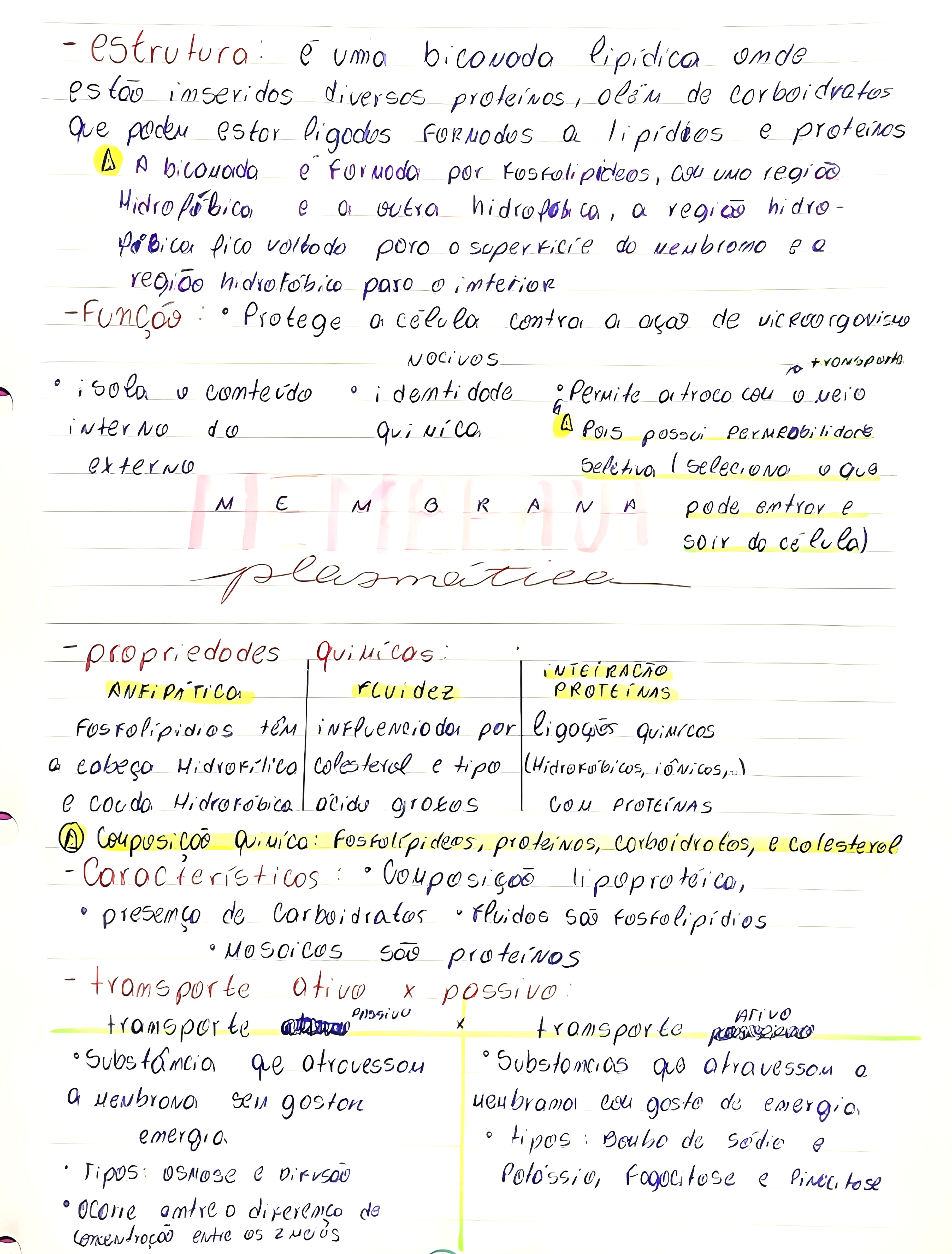 MAPA MENTAL SOBRE MEMBRANA CELULAR
