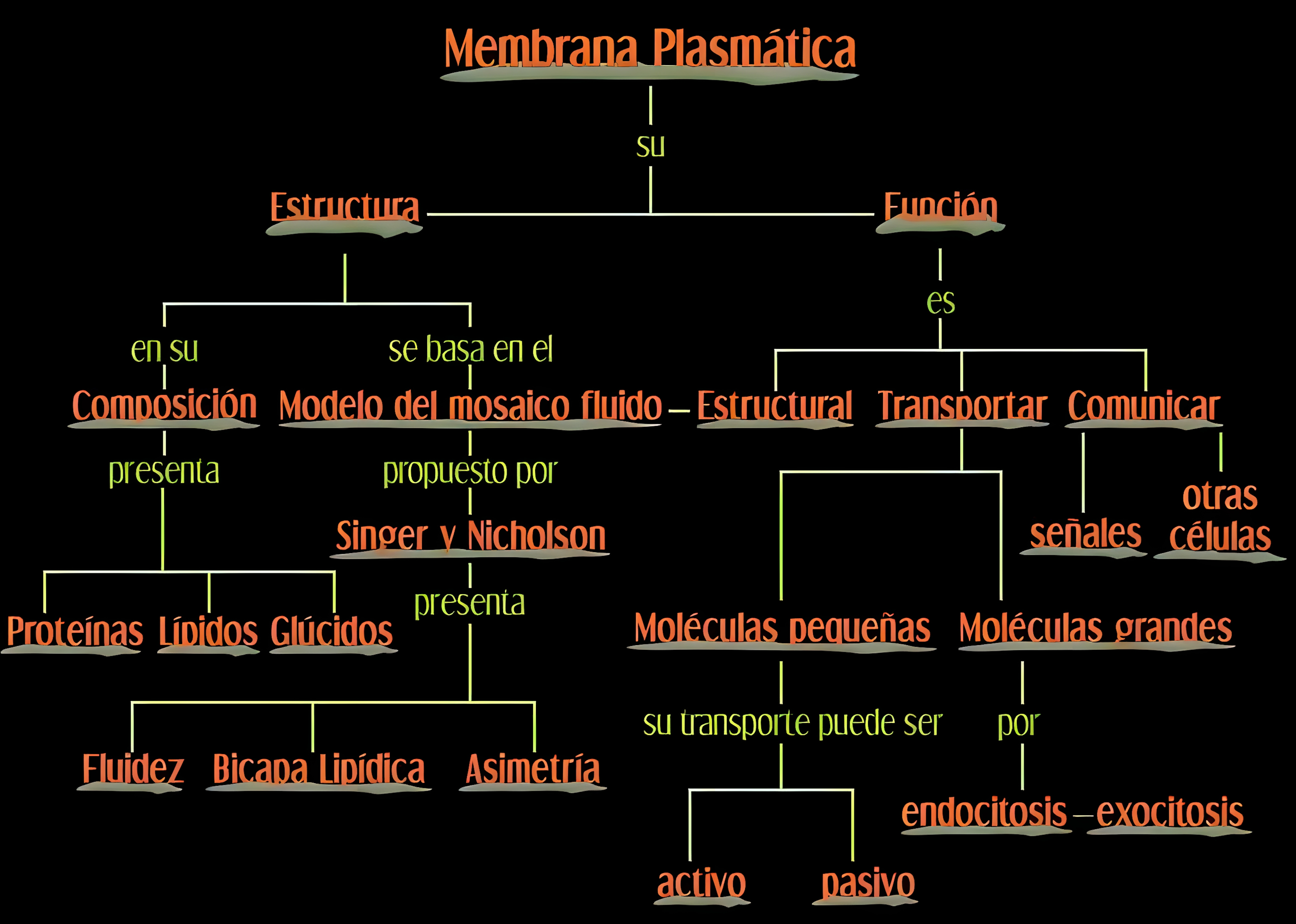 MAPA MENTAL SOBRE MEMBRANA CELULAR