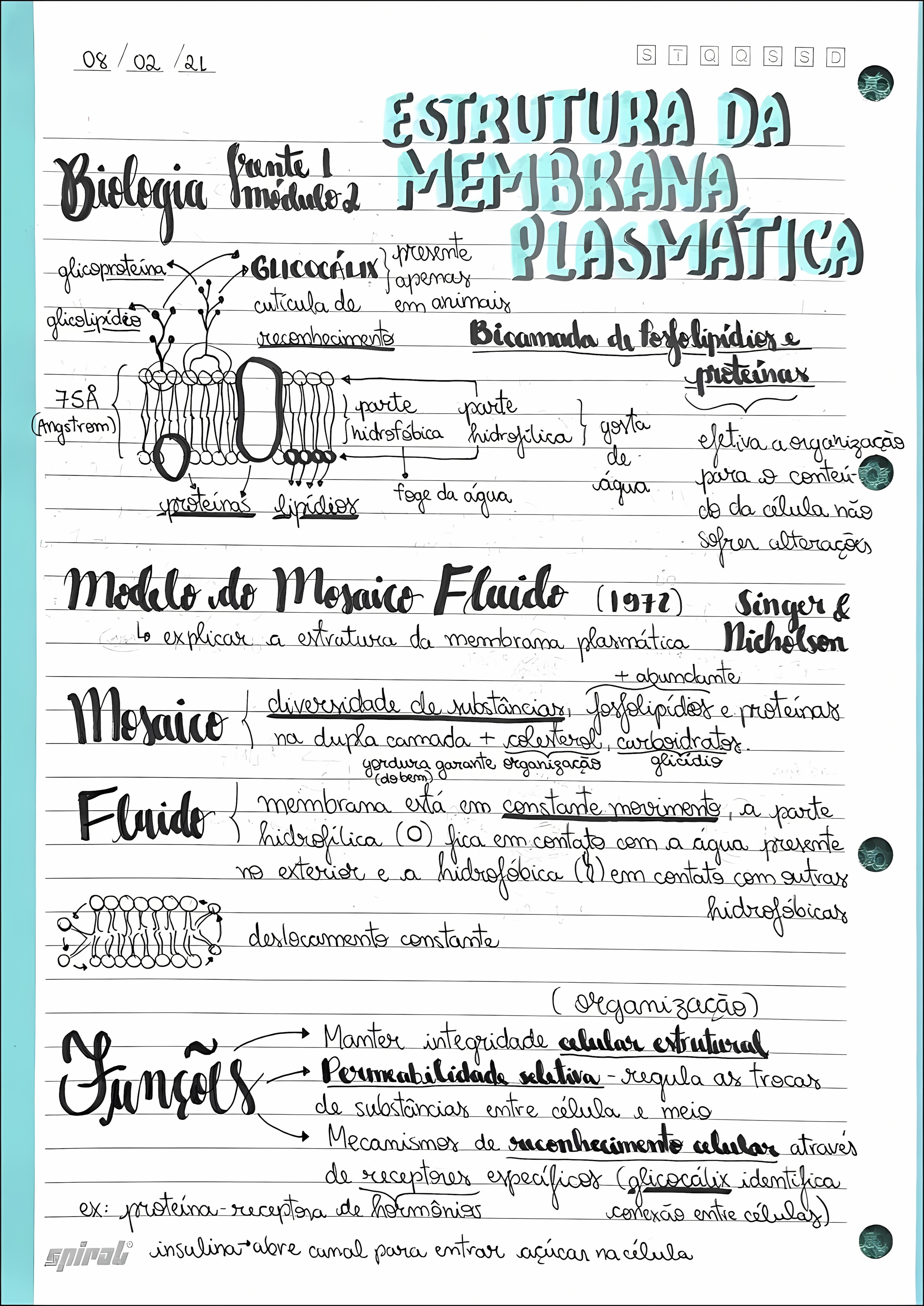 MAPA MENTAL SOBRE MEMBRANA CELULAR