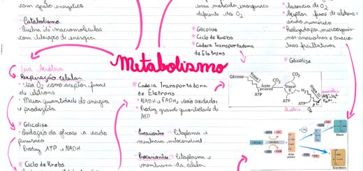 MAPA MENTAL SOBRE METABOLISMO CELULAR