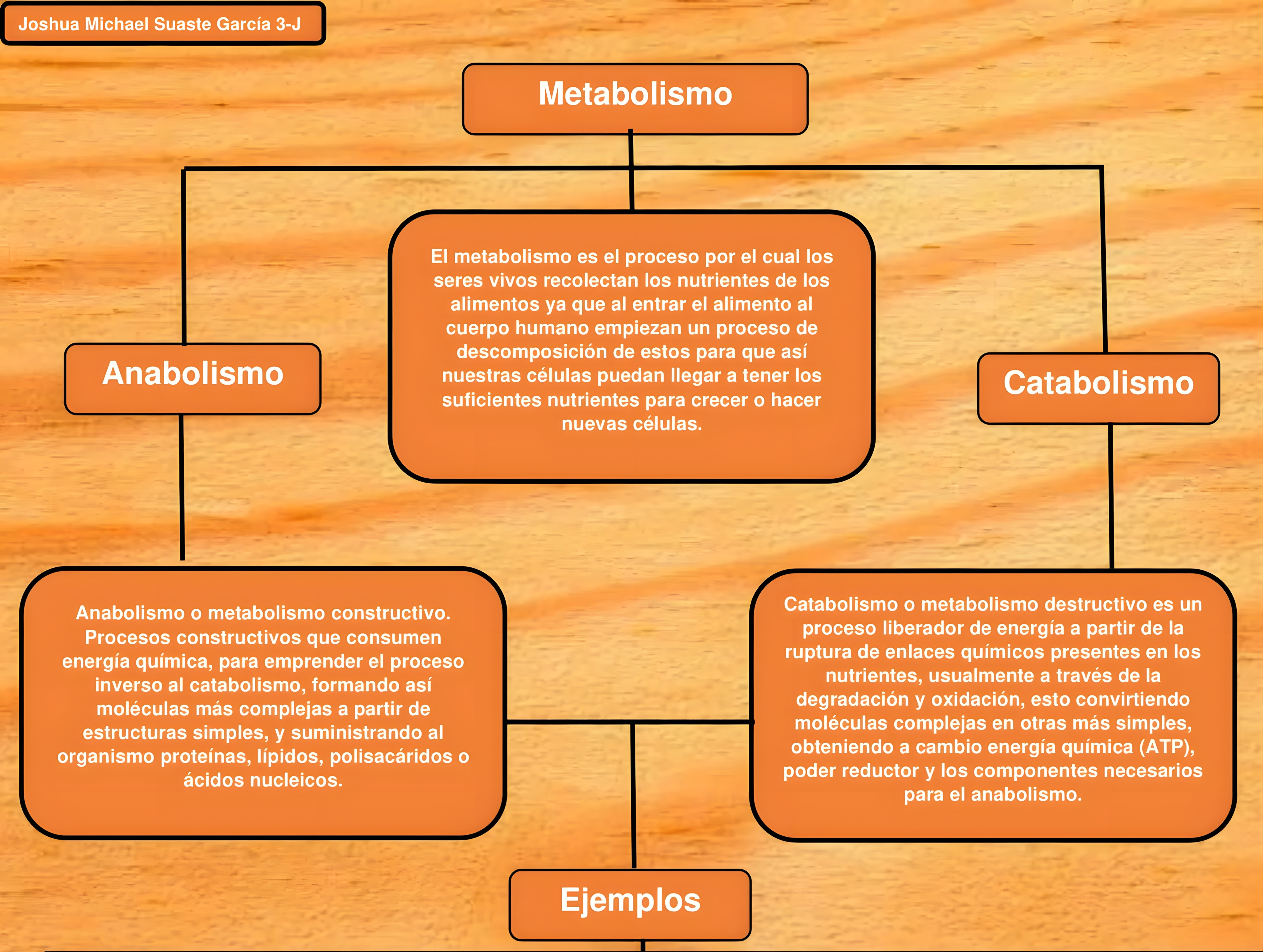 MAPA MENTAL SOBRE METABOLISMO CELULAR