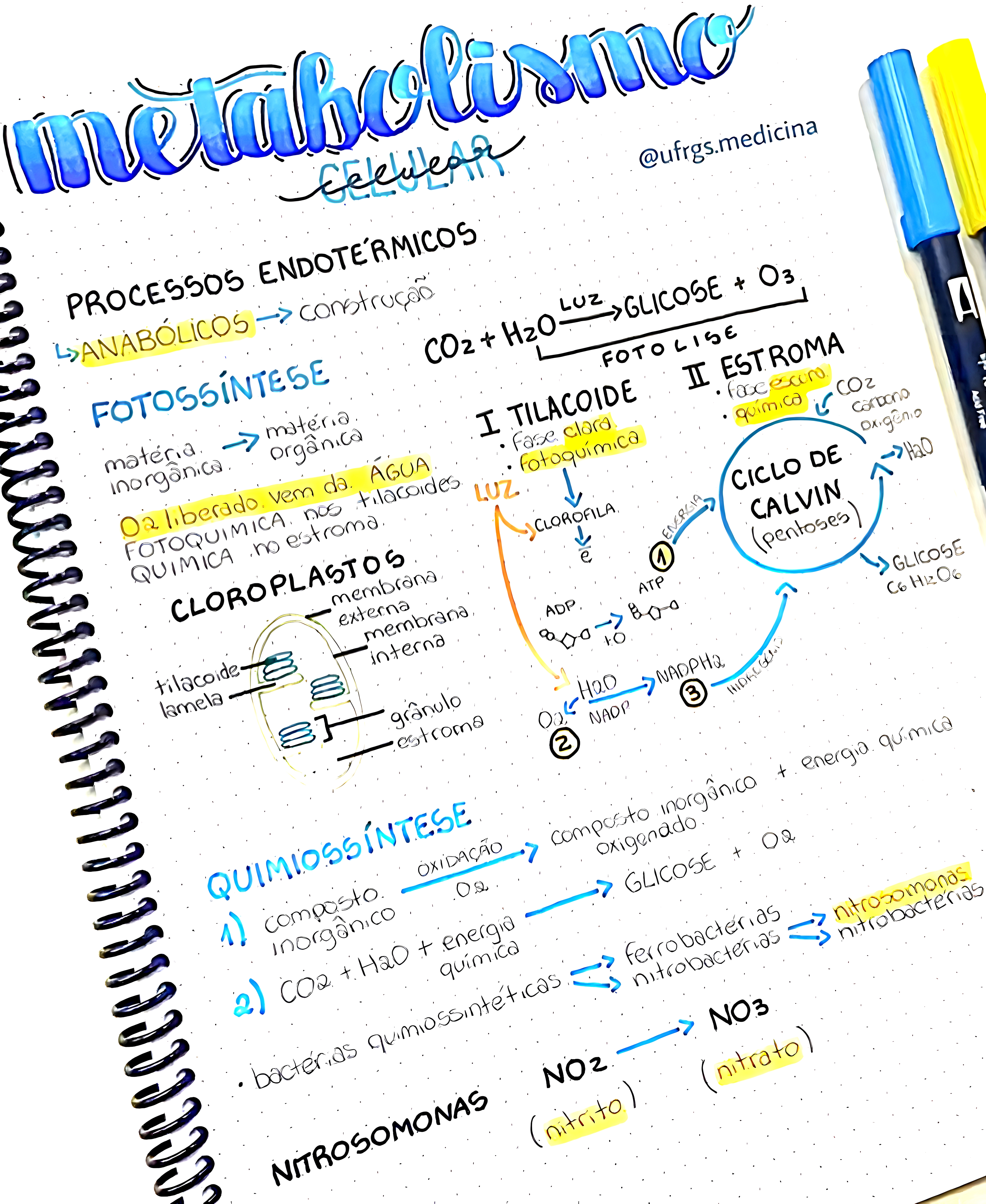 MAPA MENTAL SOBRE METABOLISMO CELULAR