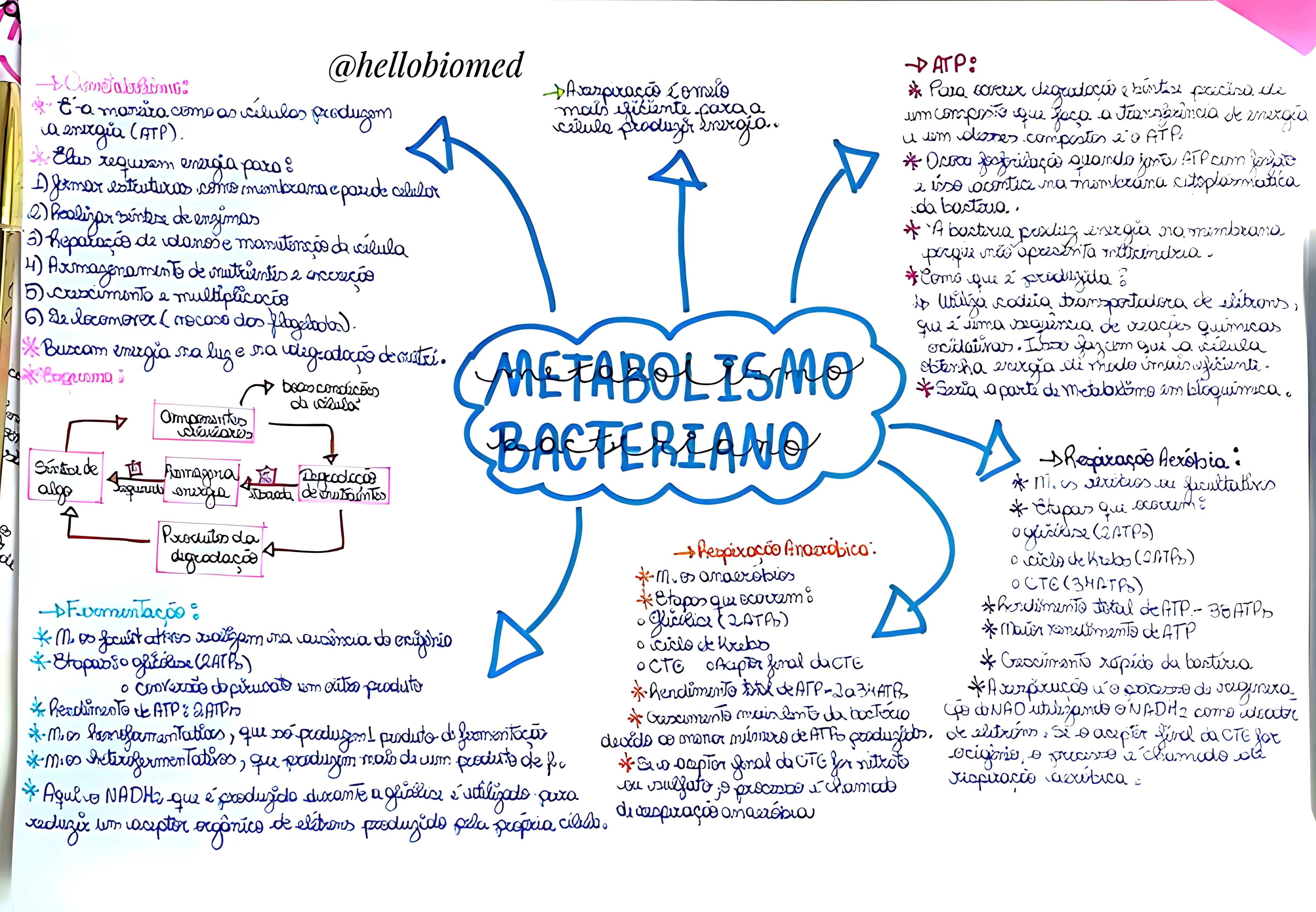 MAPA MENTAL SOBRE METABOLISMO CELULAR