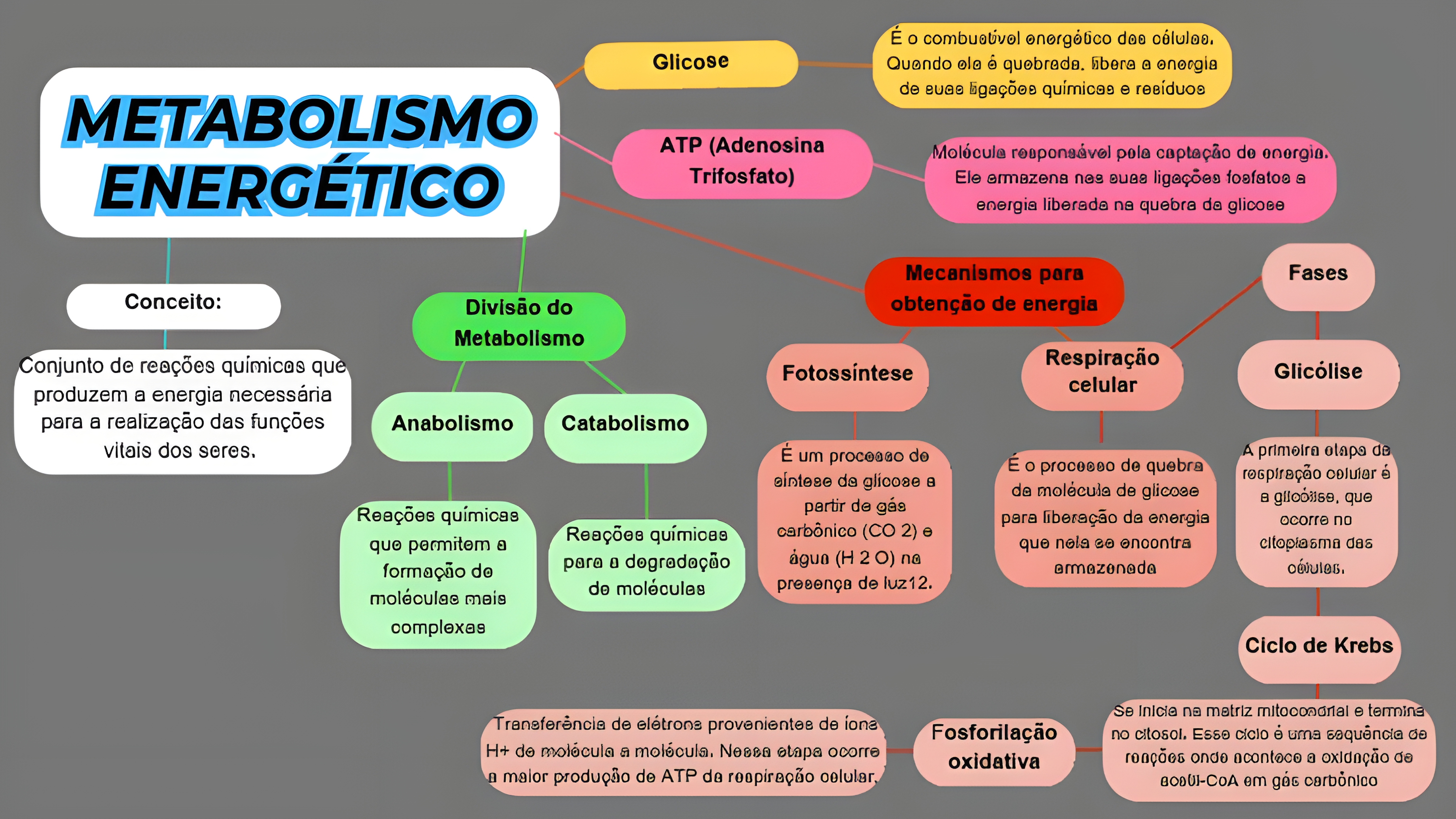 MAPA MENTAL SOBRE METABOLISMO CELULAR