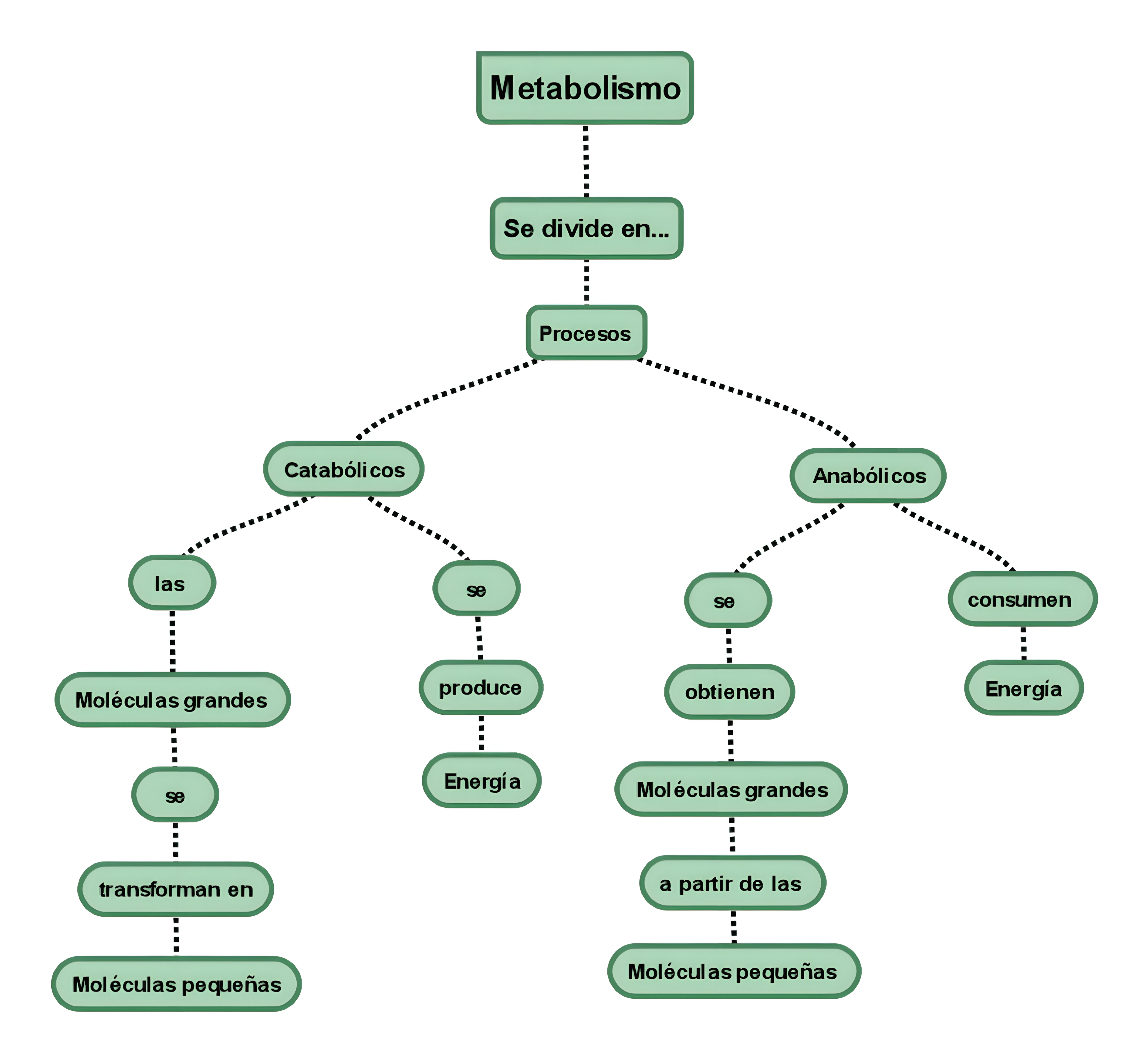 MAPA MENTAL SOBRE METABOLISMO CELULAR