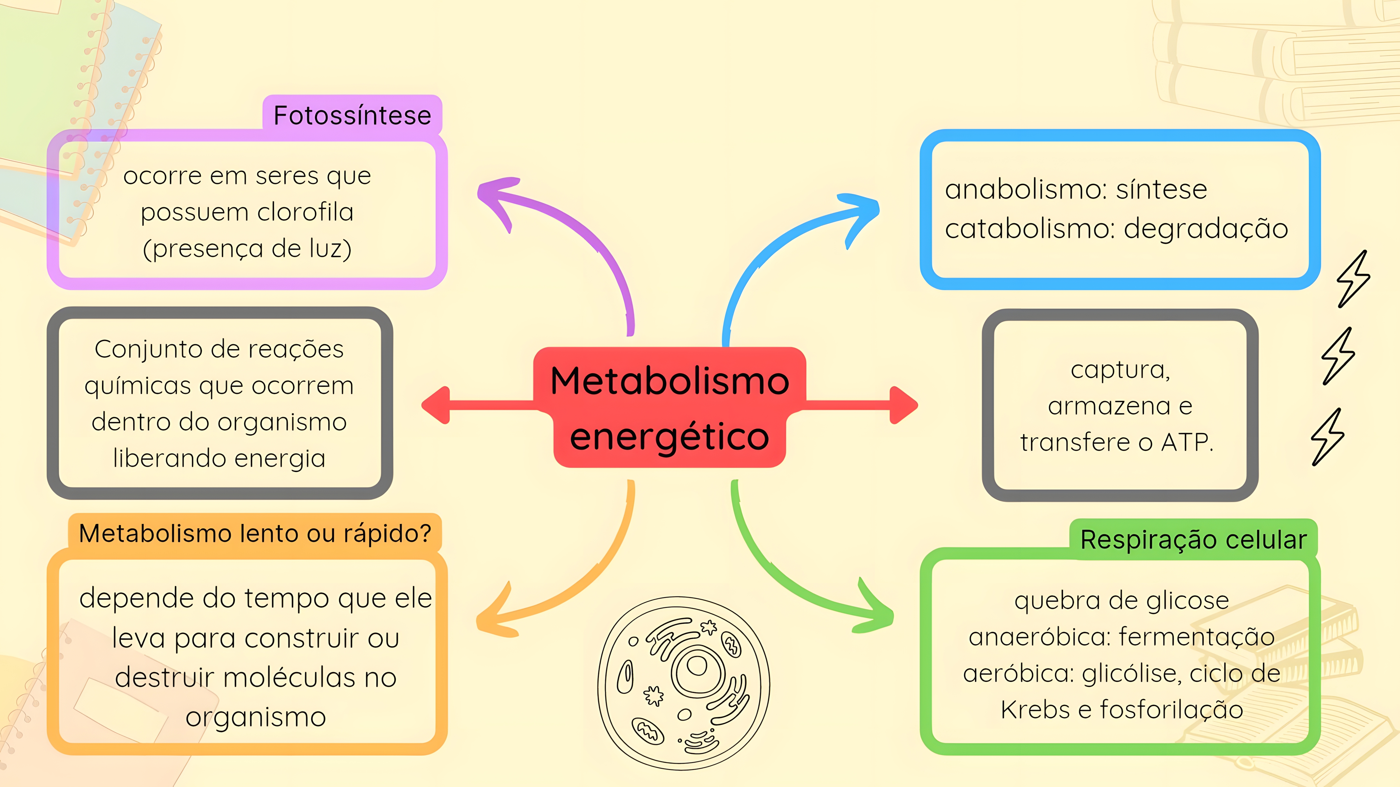 MAPA MENTAL SOBRE METABOLISMO CELULAR