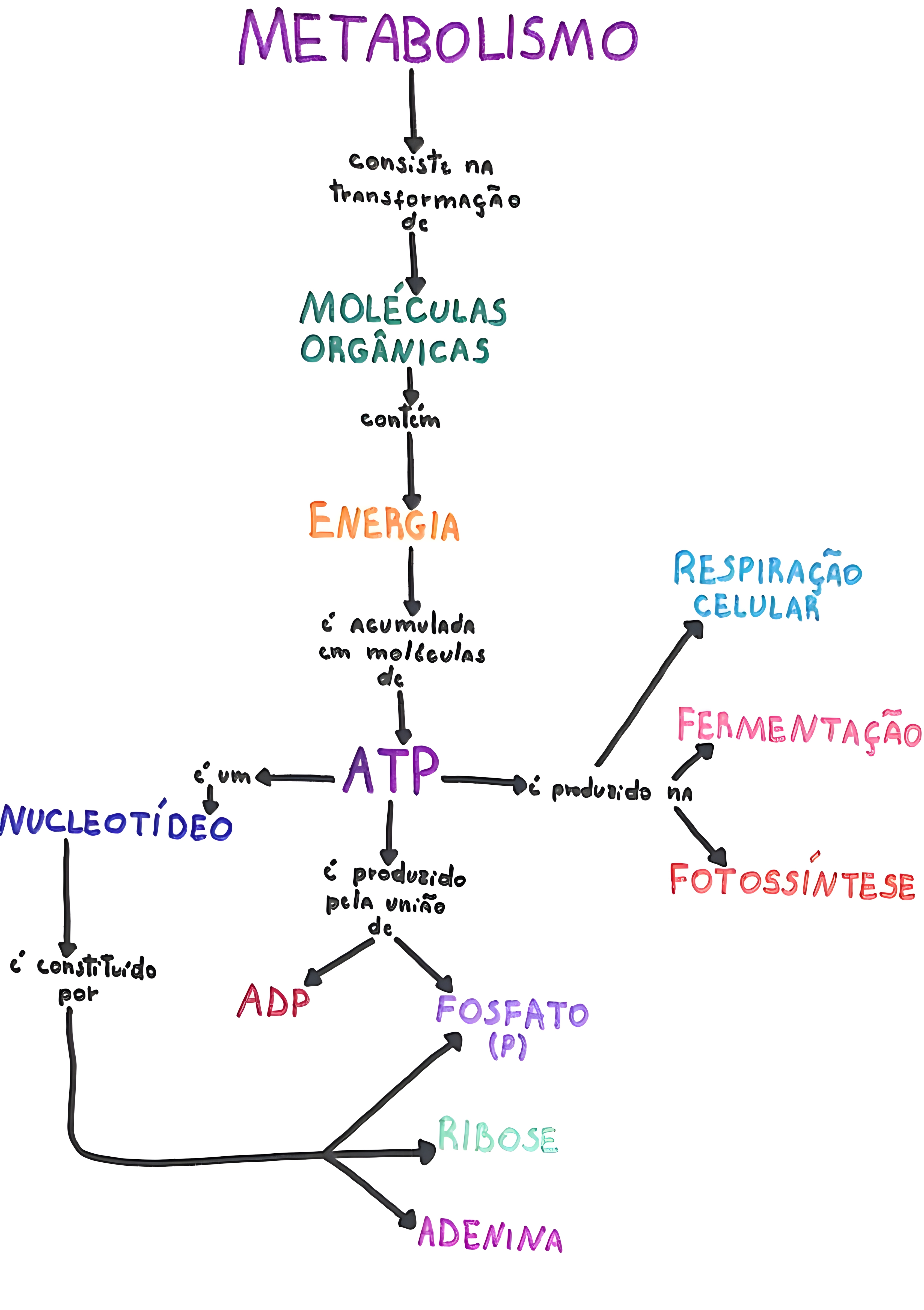 MAPA MENTAL SOBRE METABOLISMO CELULAR