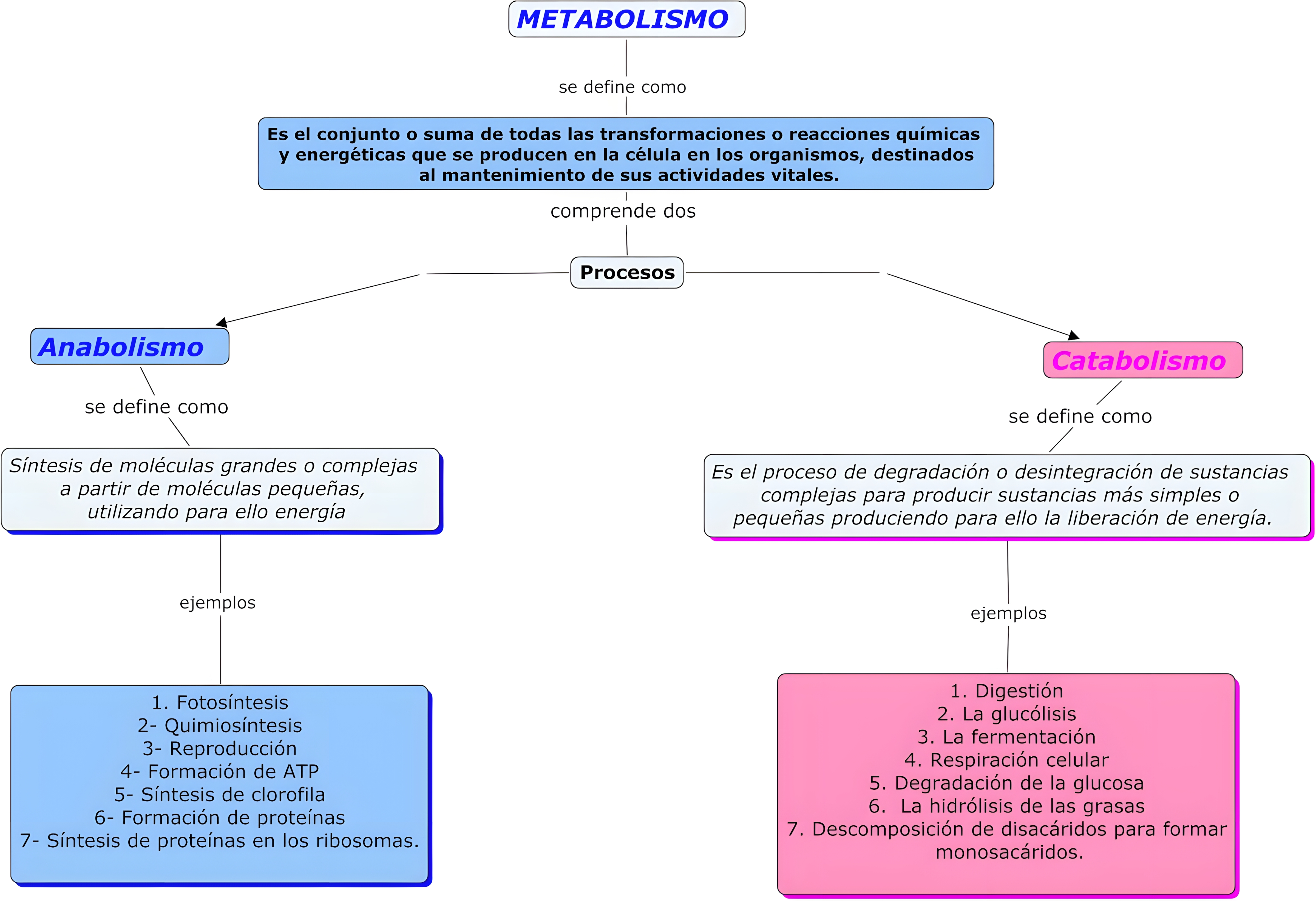 MAPA MENTAL SOBRE METABOLISMO CELULAR