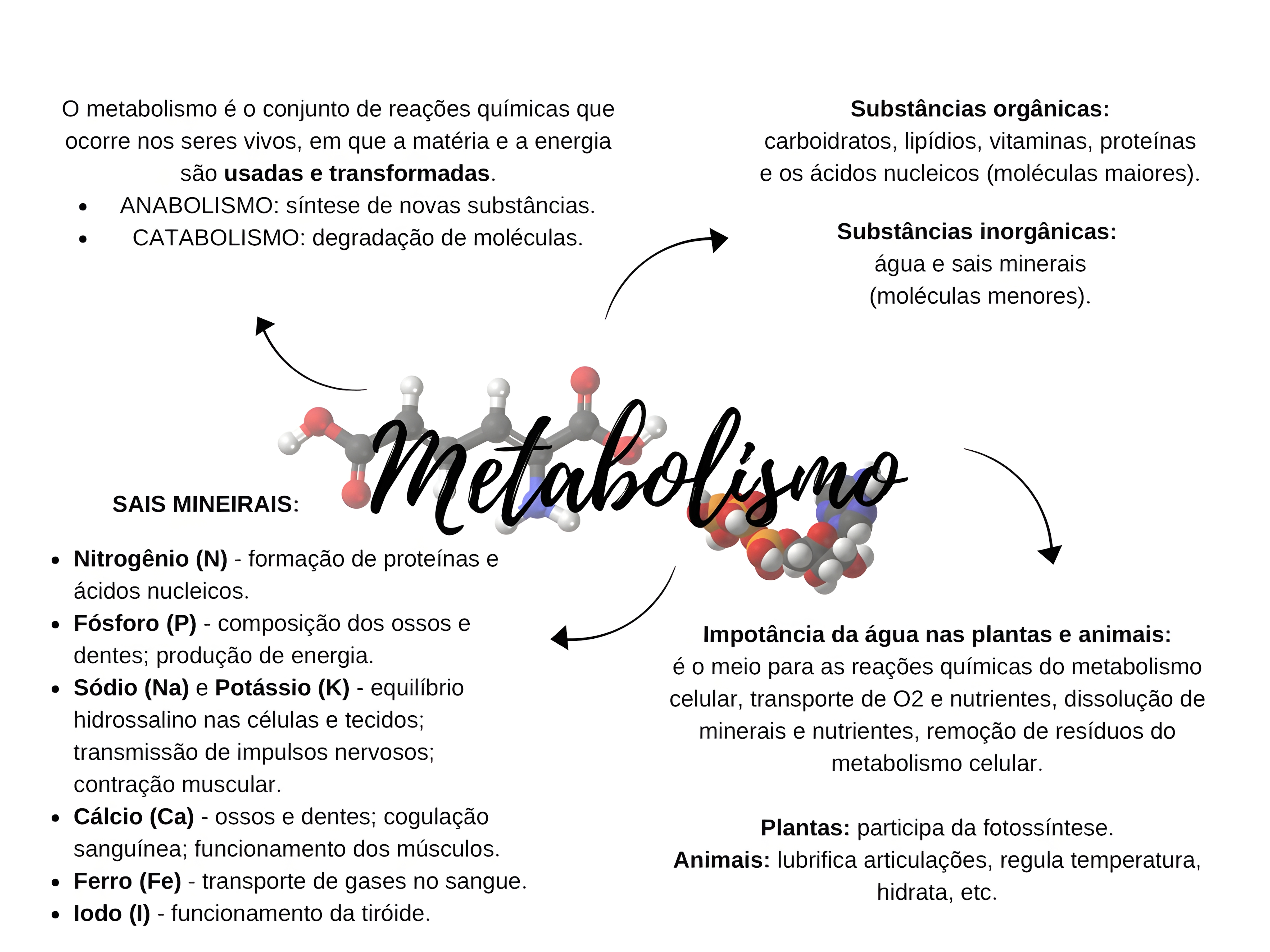 MAPA MENTAL SOBRE METABOLISMO CELULAR