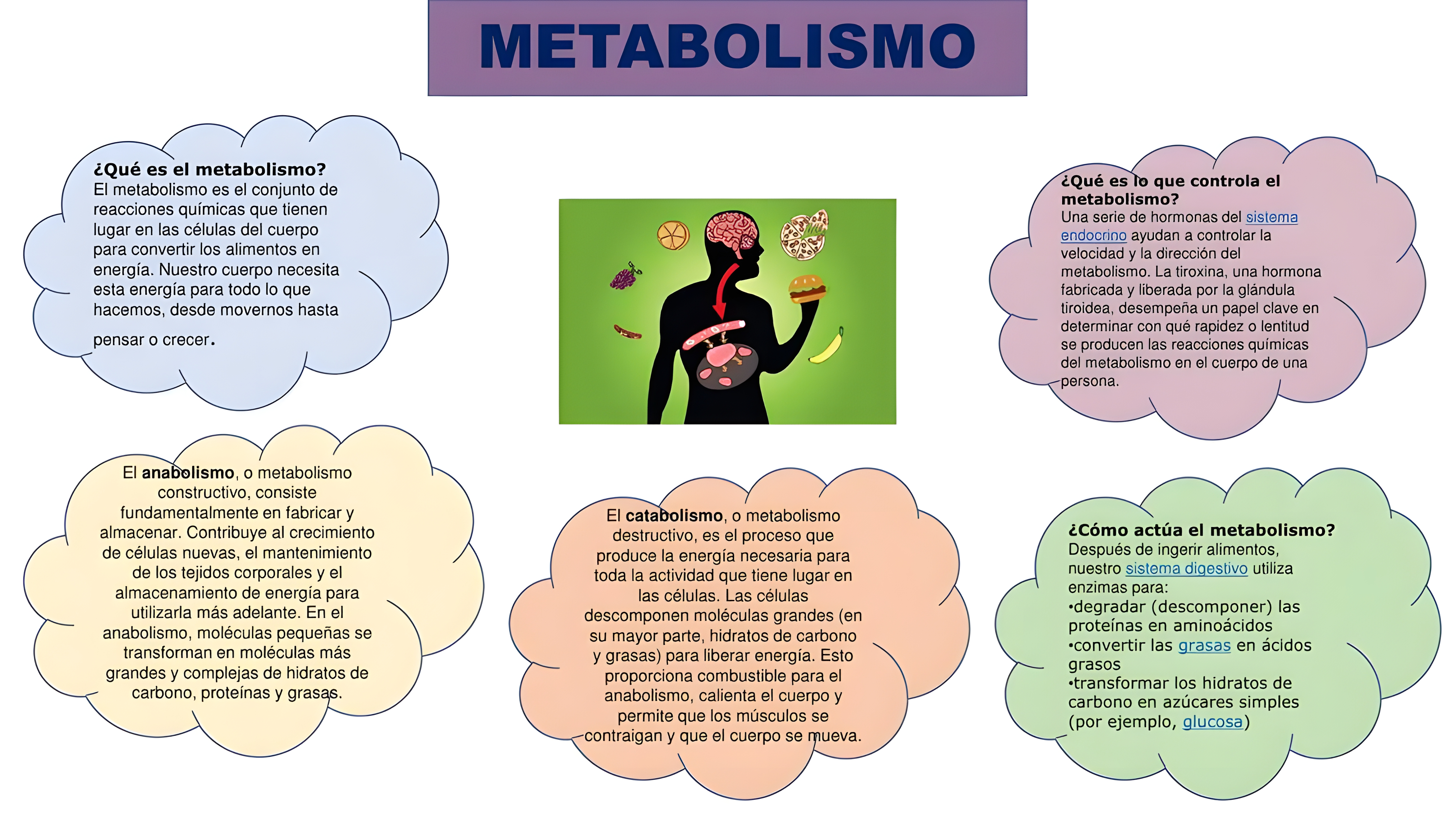MAPA MENTAL SOBRE METABOLISMO CELULAR