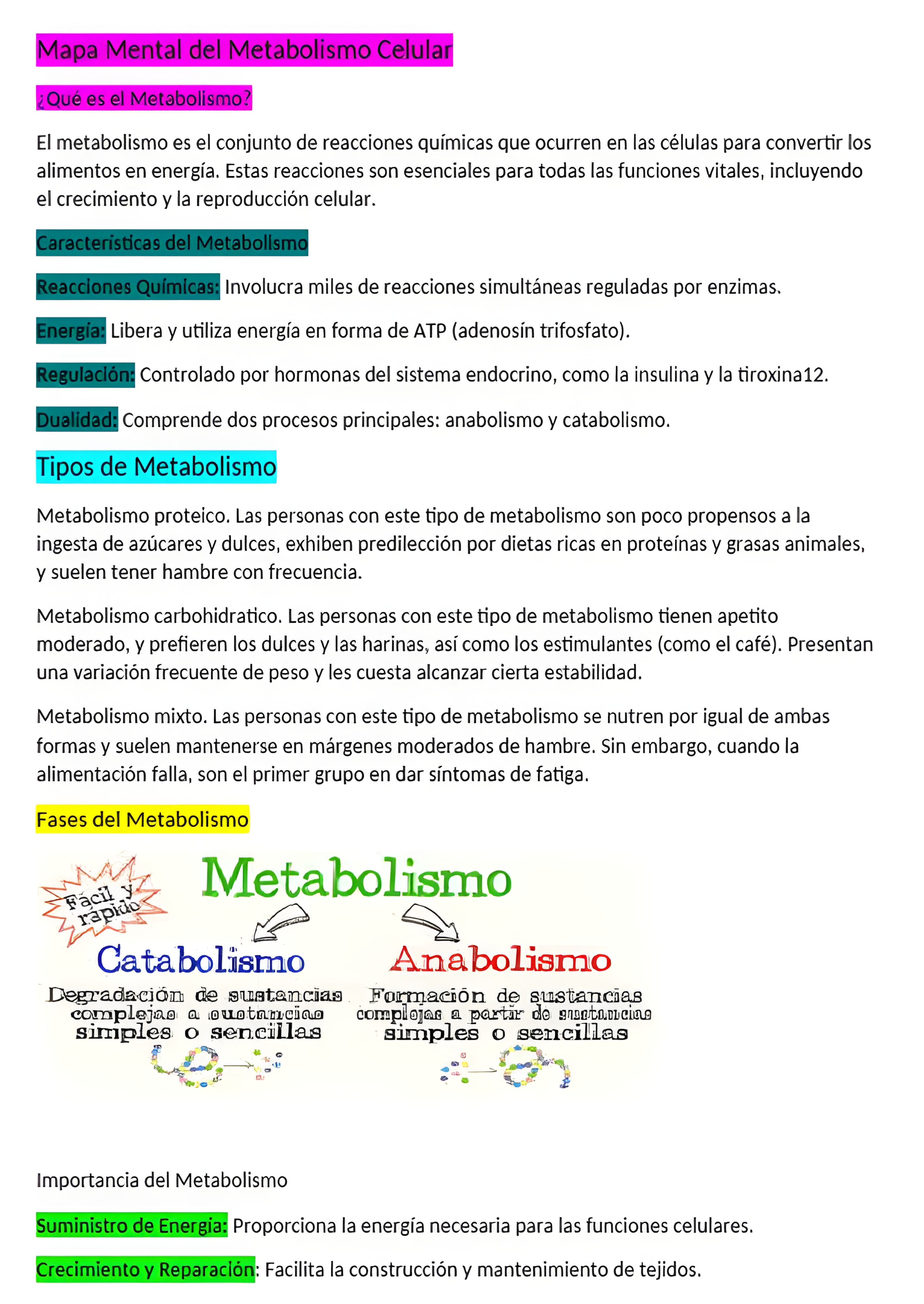MAPA MENTAL SOBRE METABOLISMO CELULAR