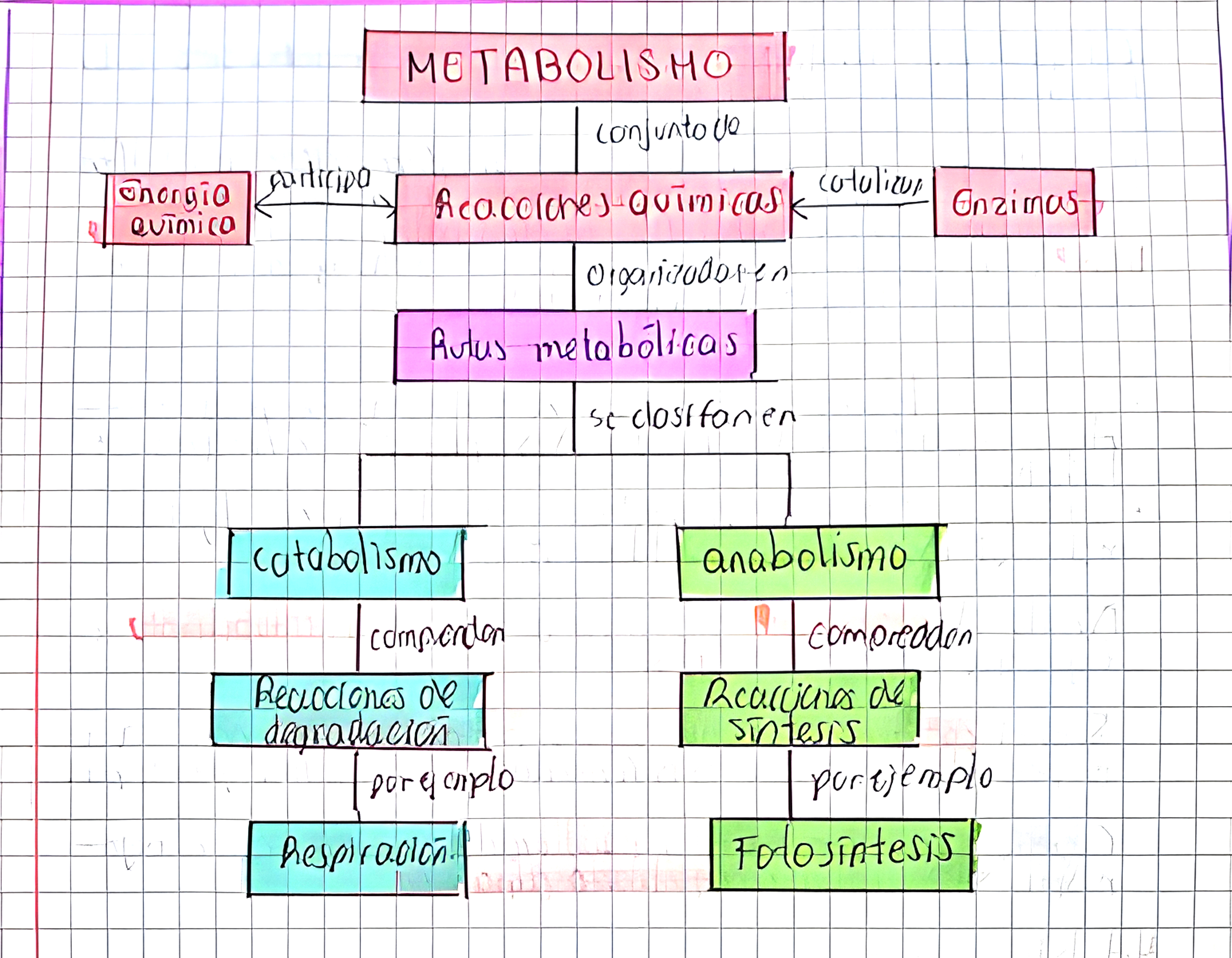 MAPA MENTAL SOBRE METABOLISMO CELULAR