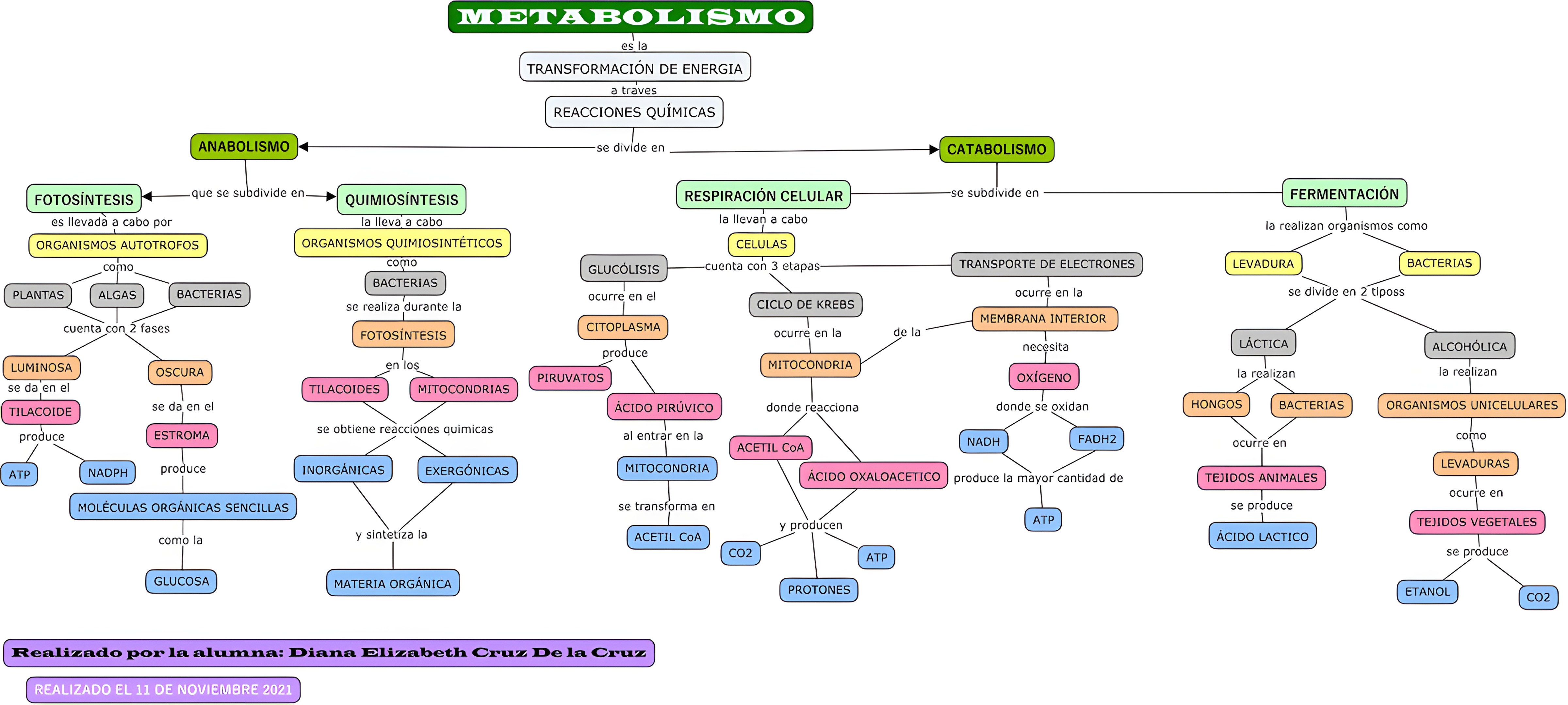 MAPA MENTAL SOBRE METABOLISMO CELULAR