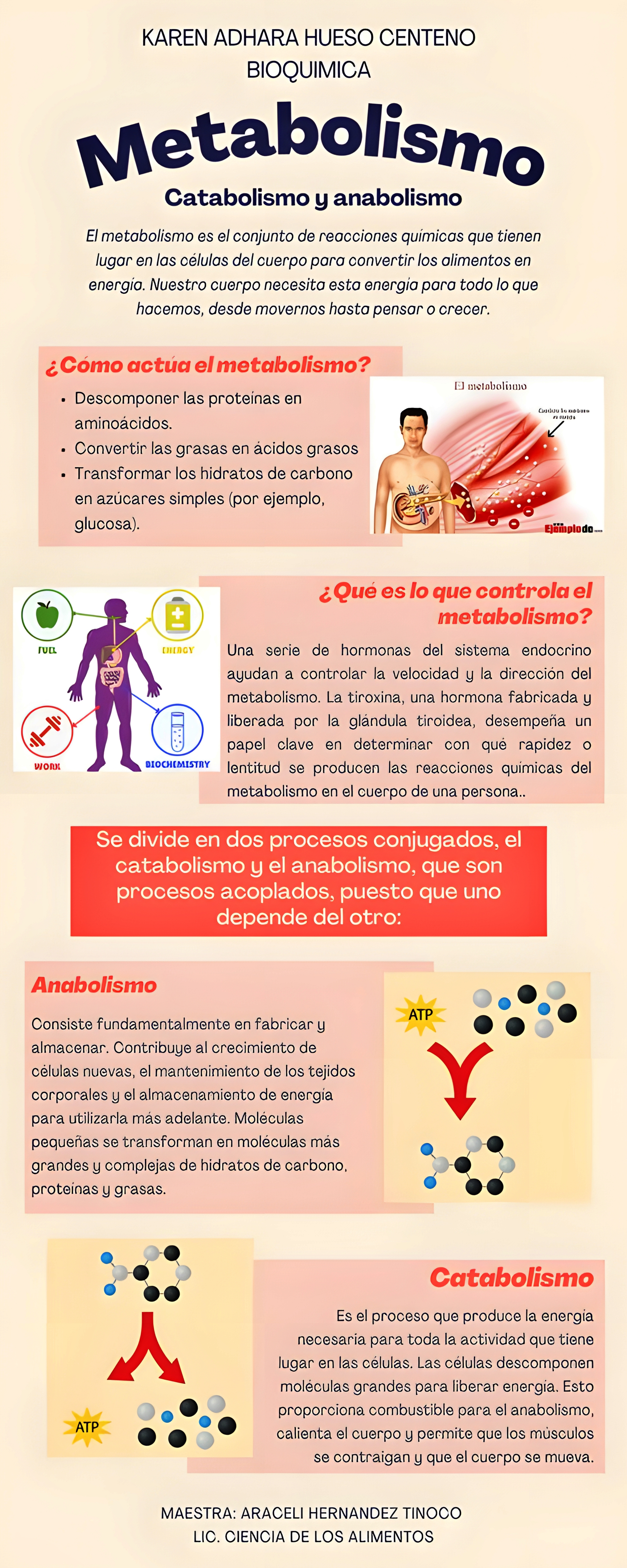 MAPA MENTAL SOBRE METABOLISMO CELULAR