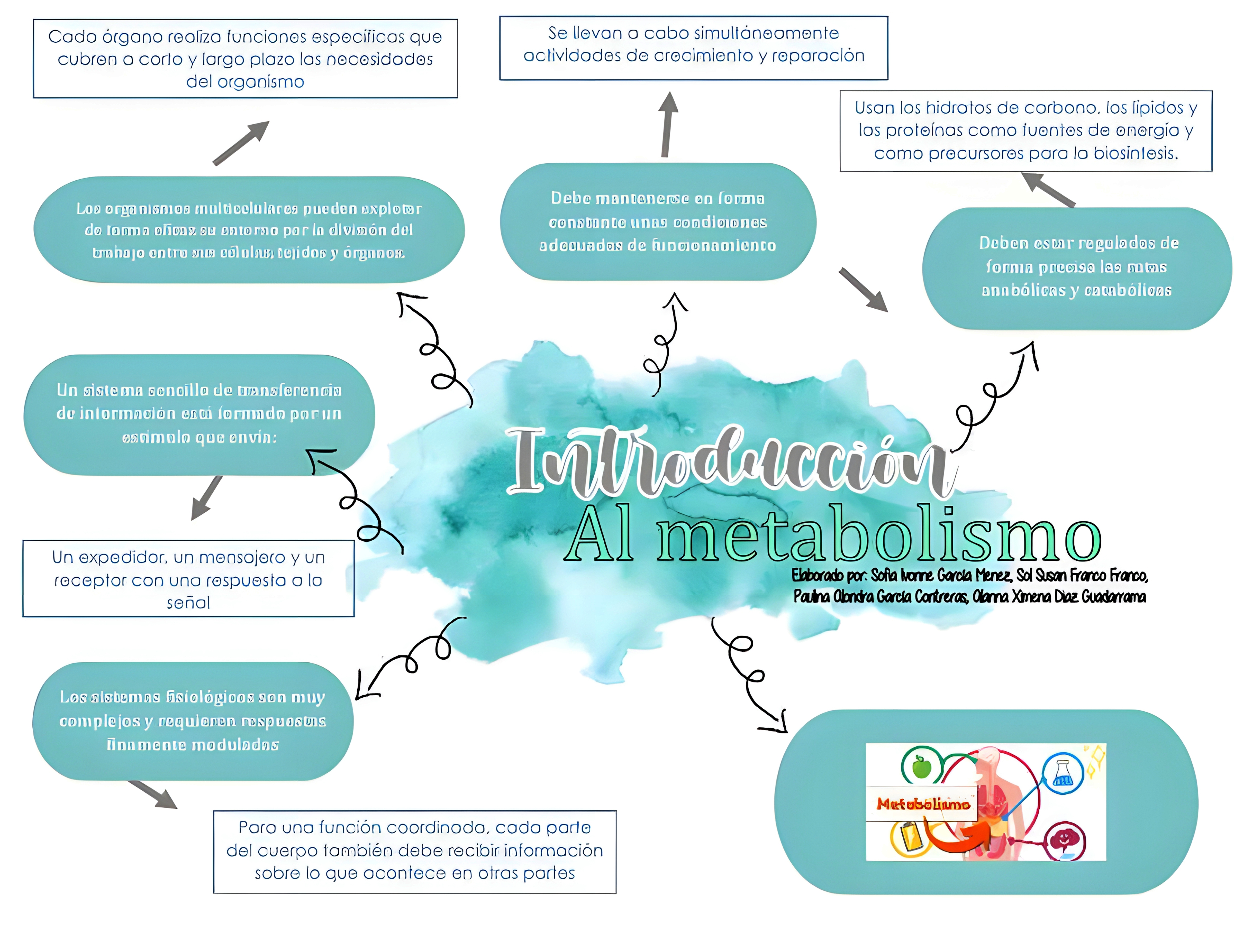 MAPA MENTAL SOBRE METABOLISMO CELULAR
