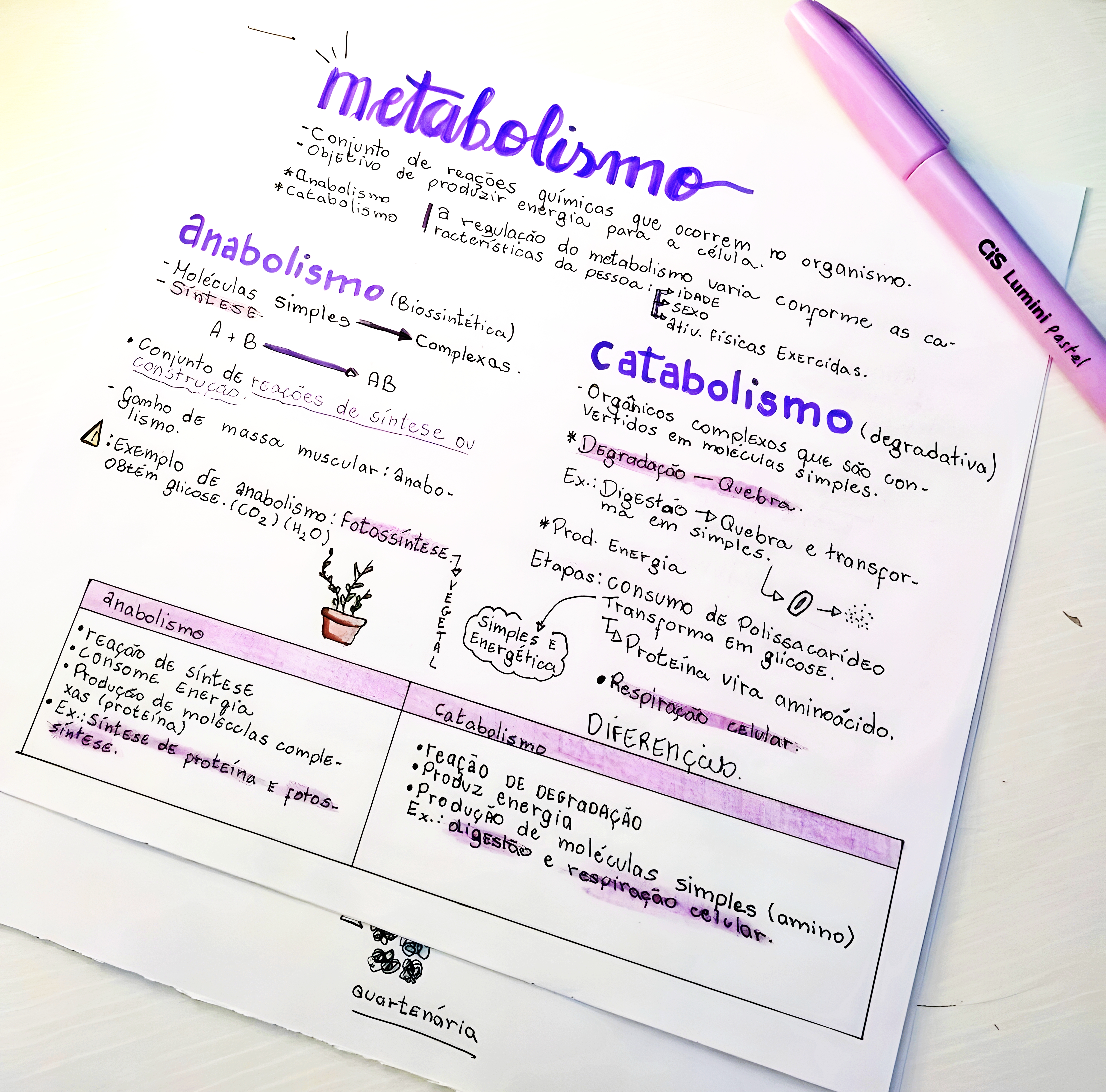 MAPA MENTAL SOBRE METABOLISMO CELULAR