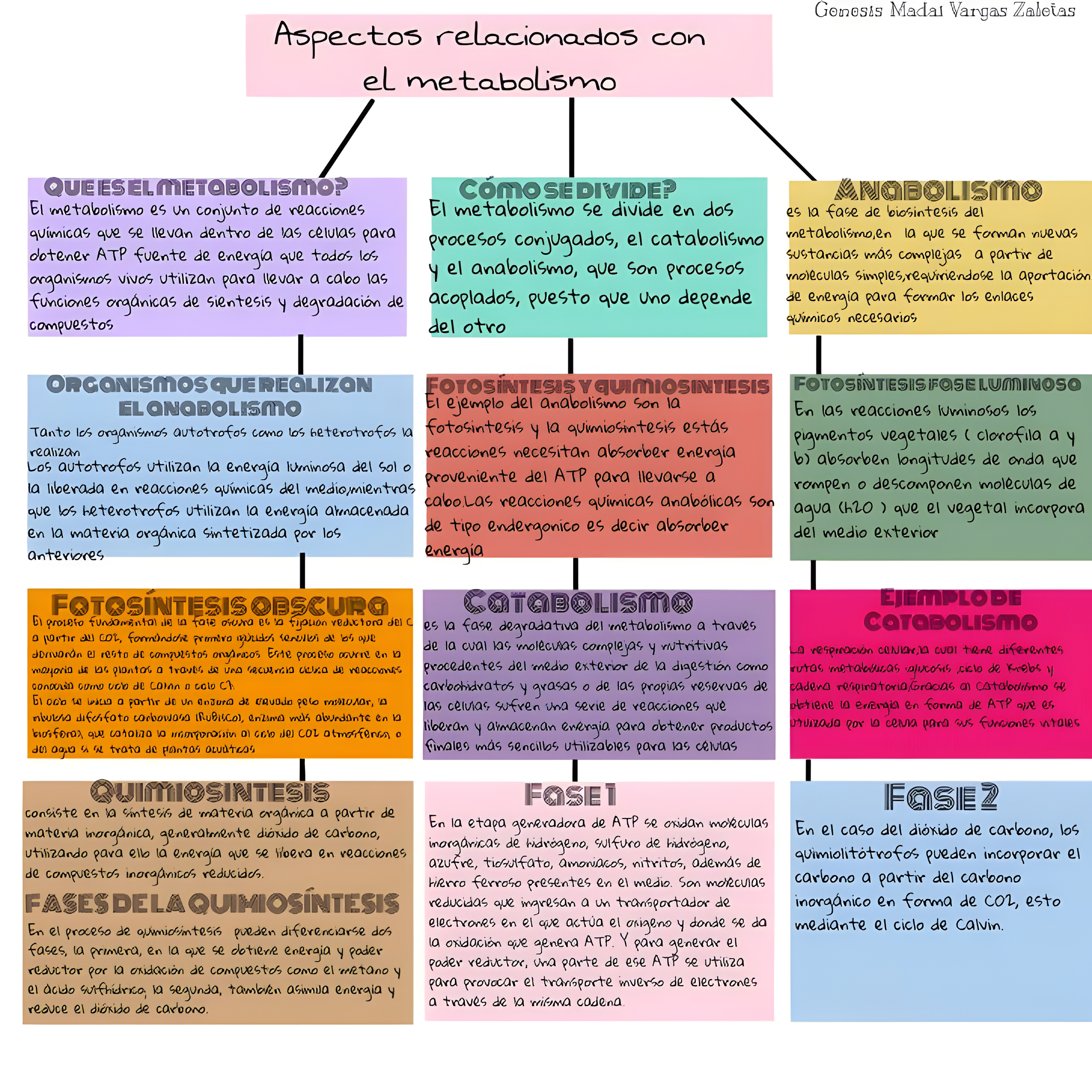 MAPA MENTAL SOBRE METABOLISMO CELULAR