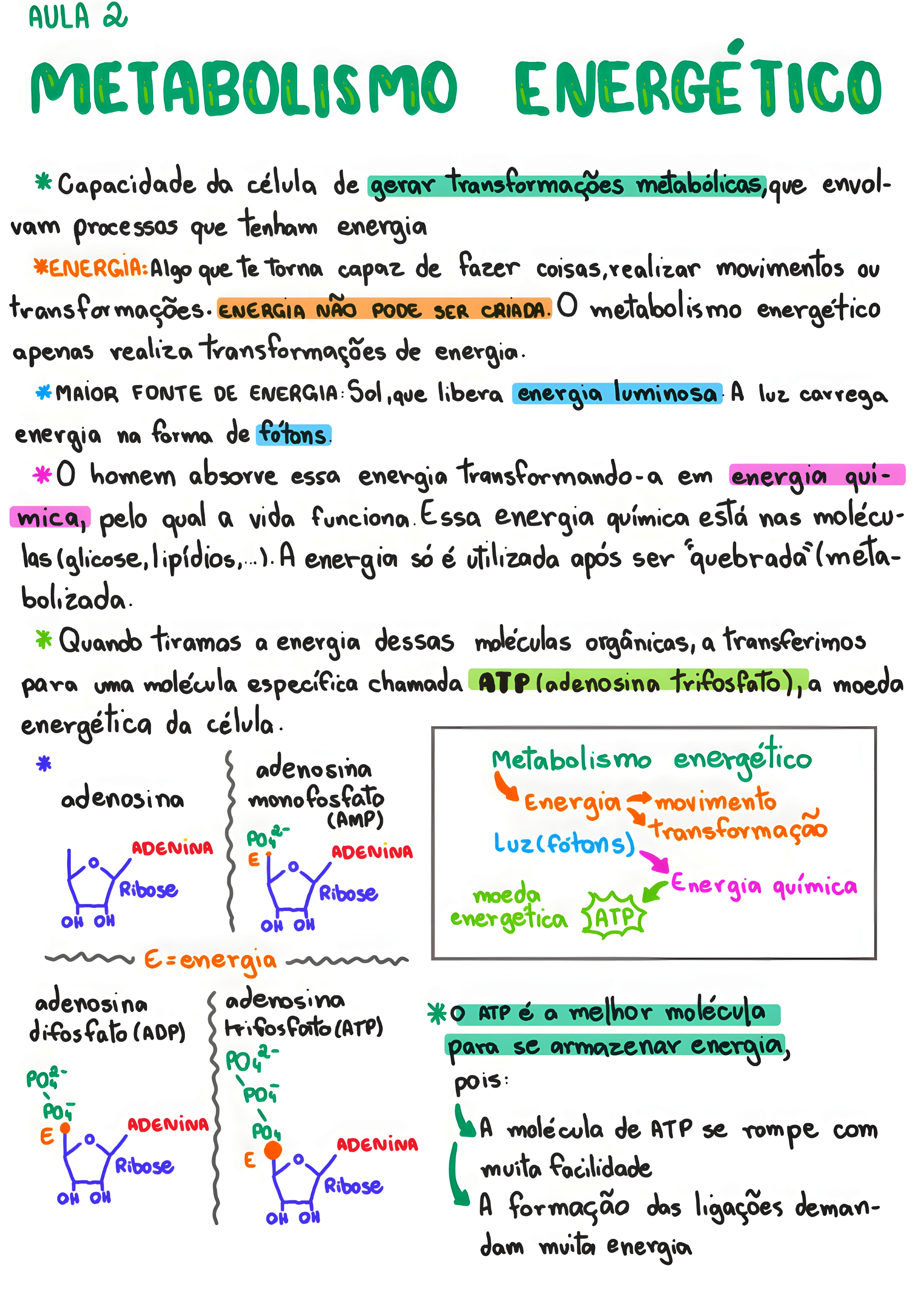 MAPA MENTAL SOBRE METABOLISMO CELULAR