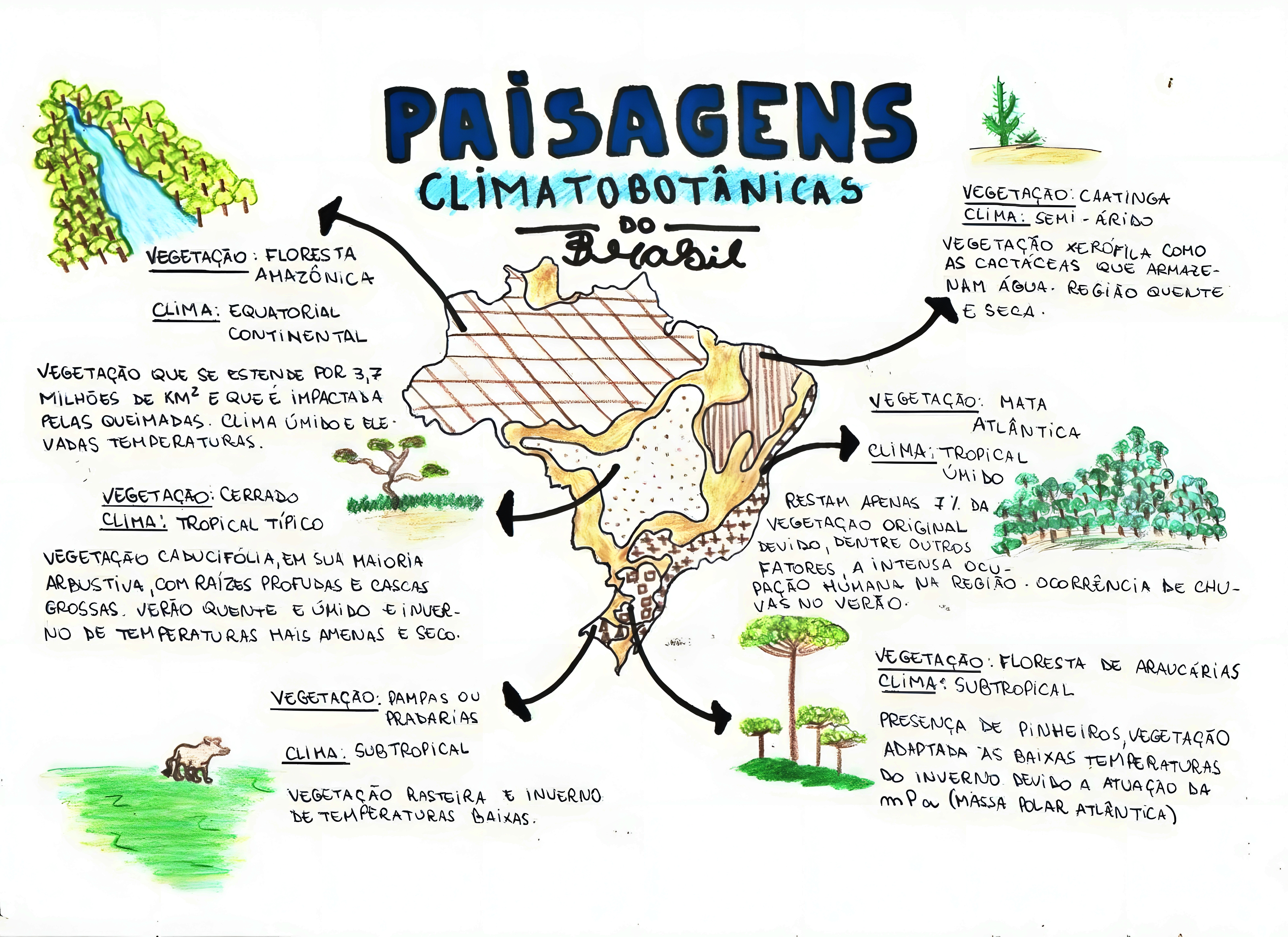 MAPA MENTAL SOBRE PAISAGEM