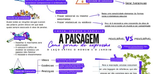 MAPA MENTAL SOBRE PAISAGEM