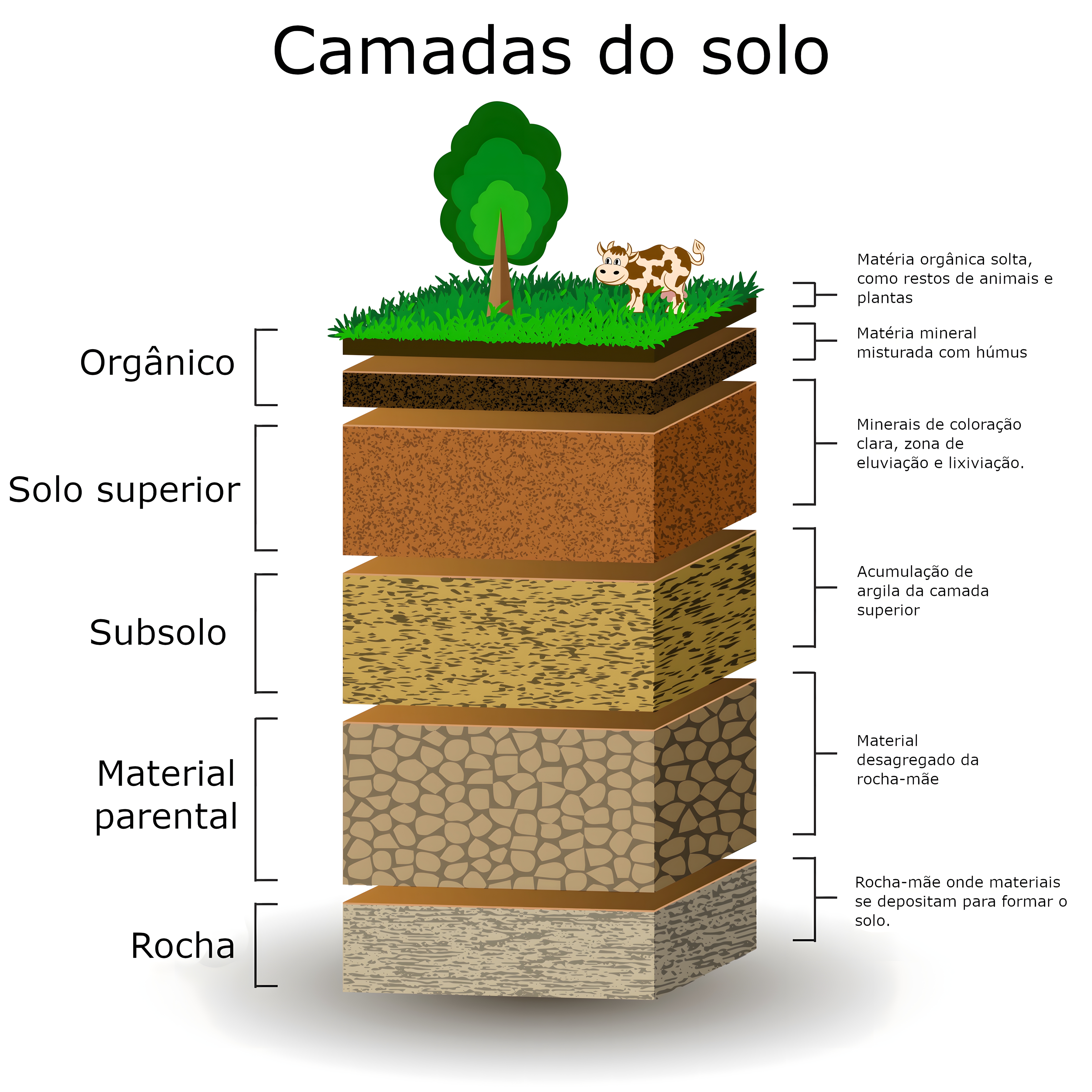 MAPA MENTAL SOBRE TIPOS DE SOLO