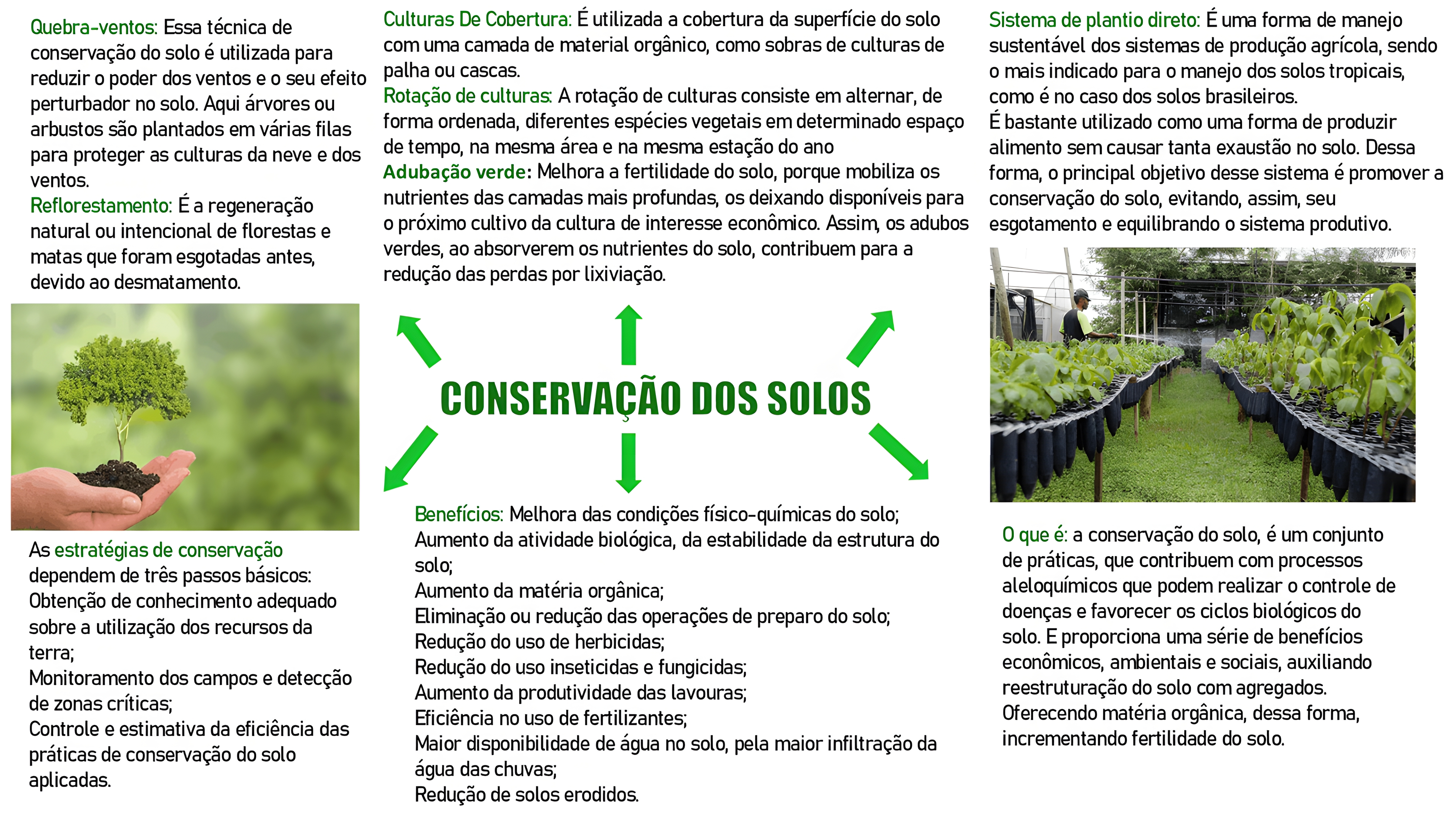 MAPA MENTAL SOBRE TIPOS DE SOLO