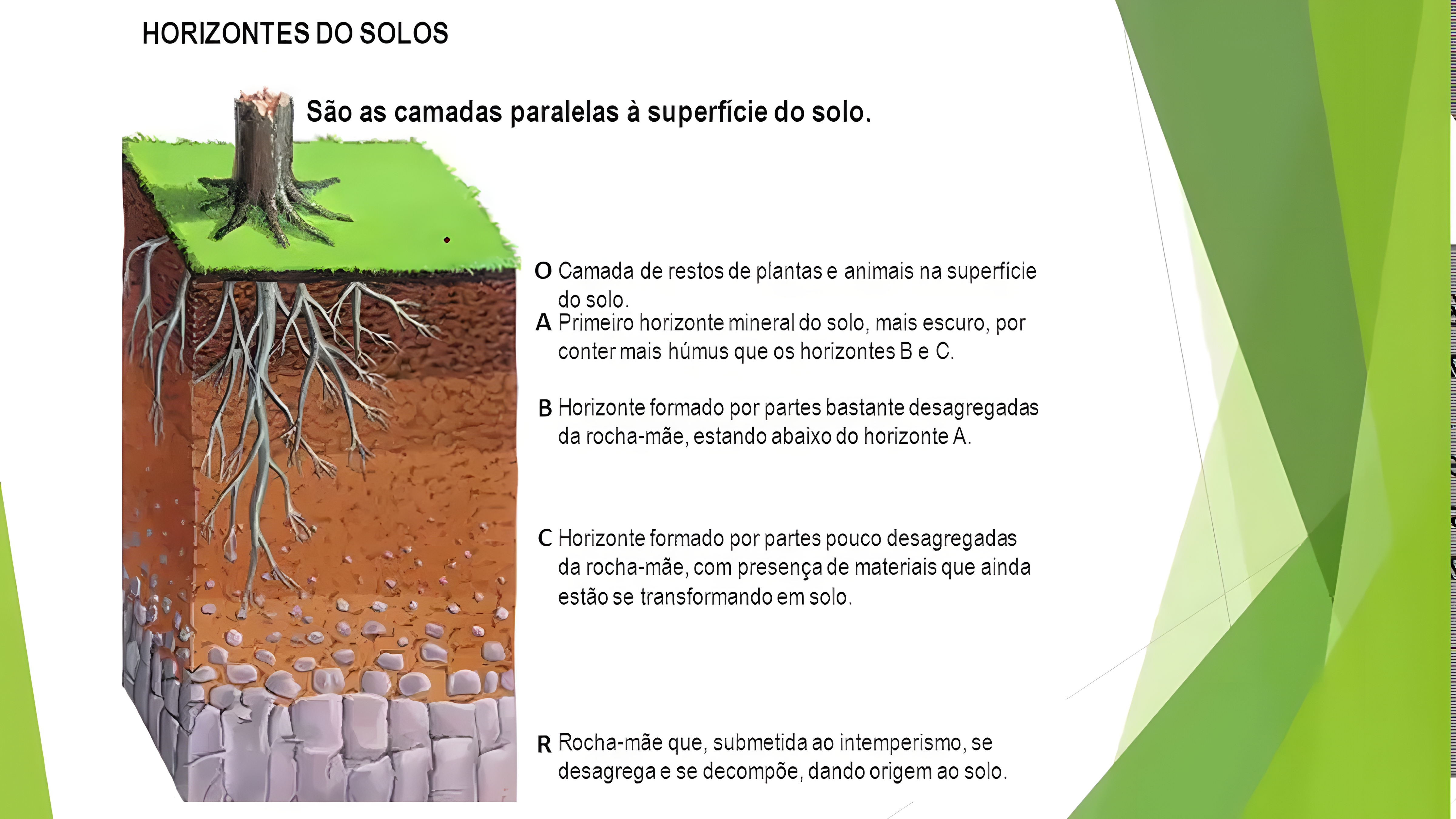 MAPA MENTAL SOBRE TIPOS DE SOLO