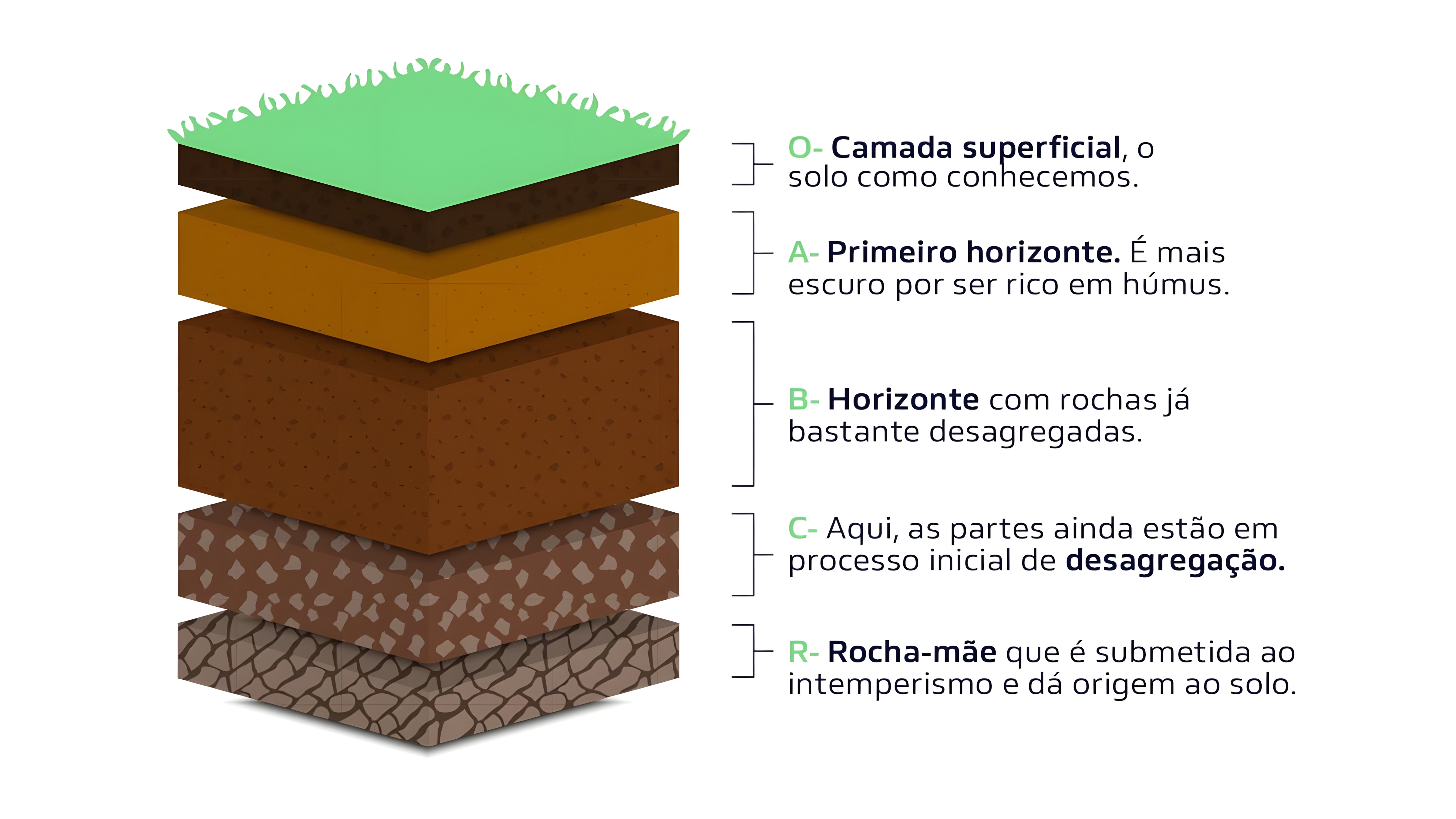 MAPA MENTAL SOBRE TIPOS DE SOLO