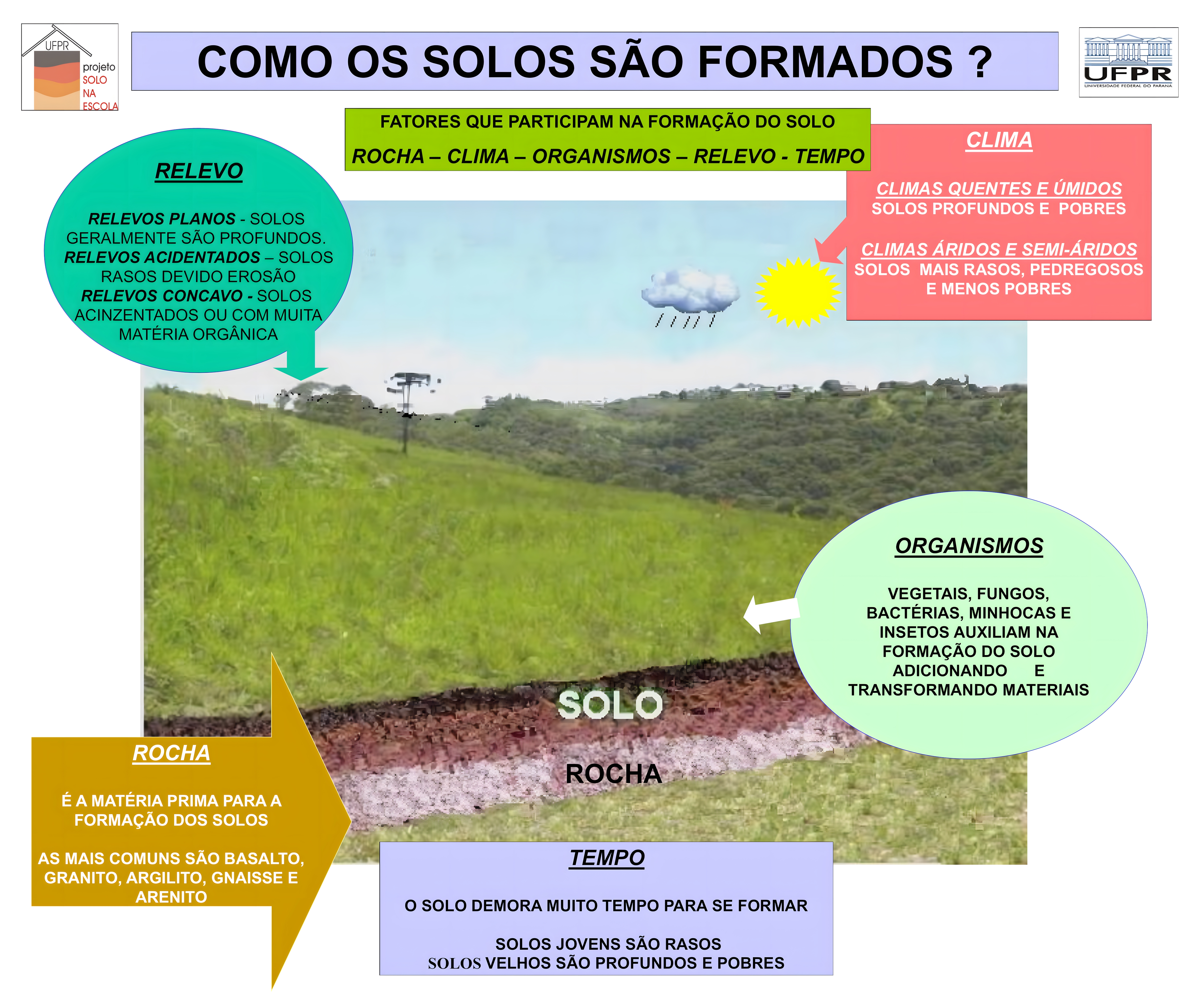 MAPA MENTAL SOBRE TIPOS DE SOLO