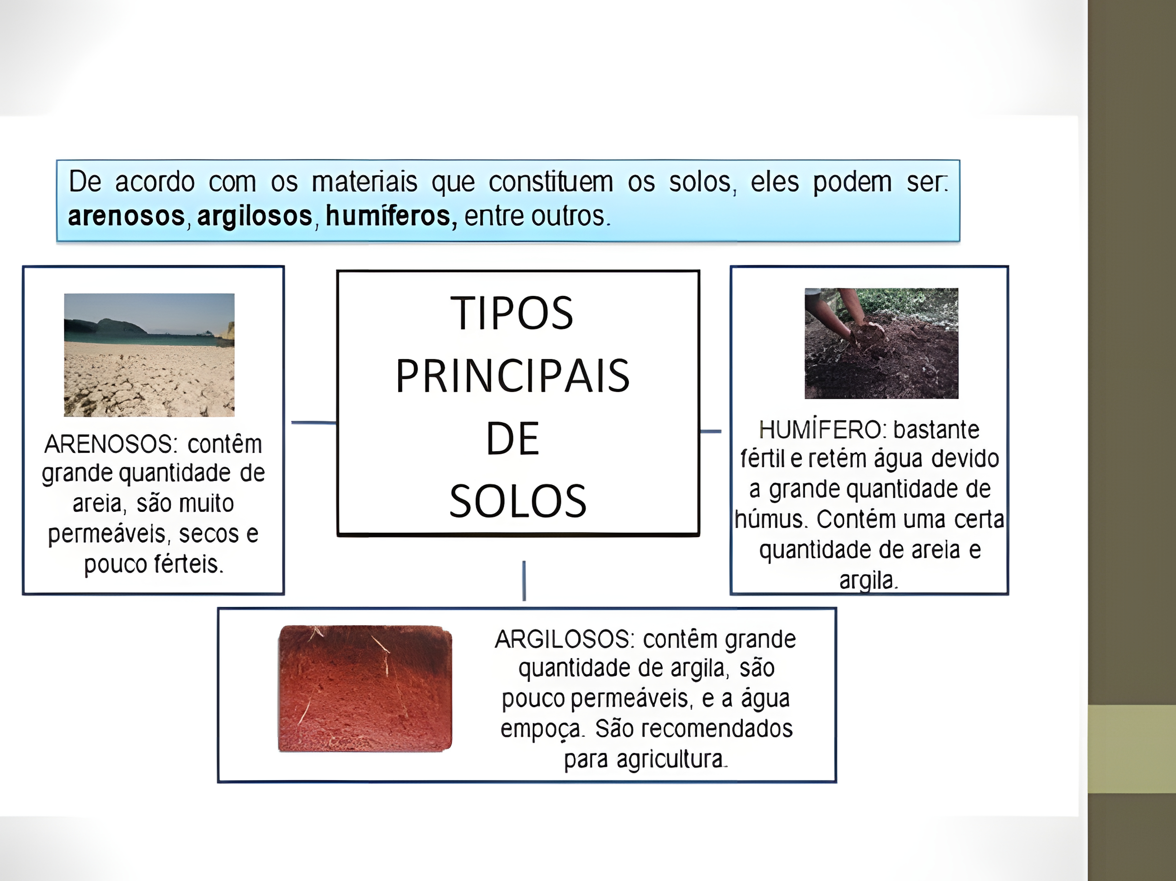 MAPA MENTAL SOBRE TIPOS DE SOLO