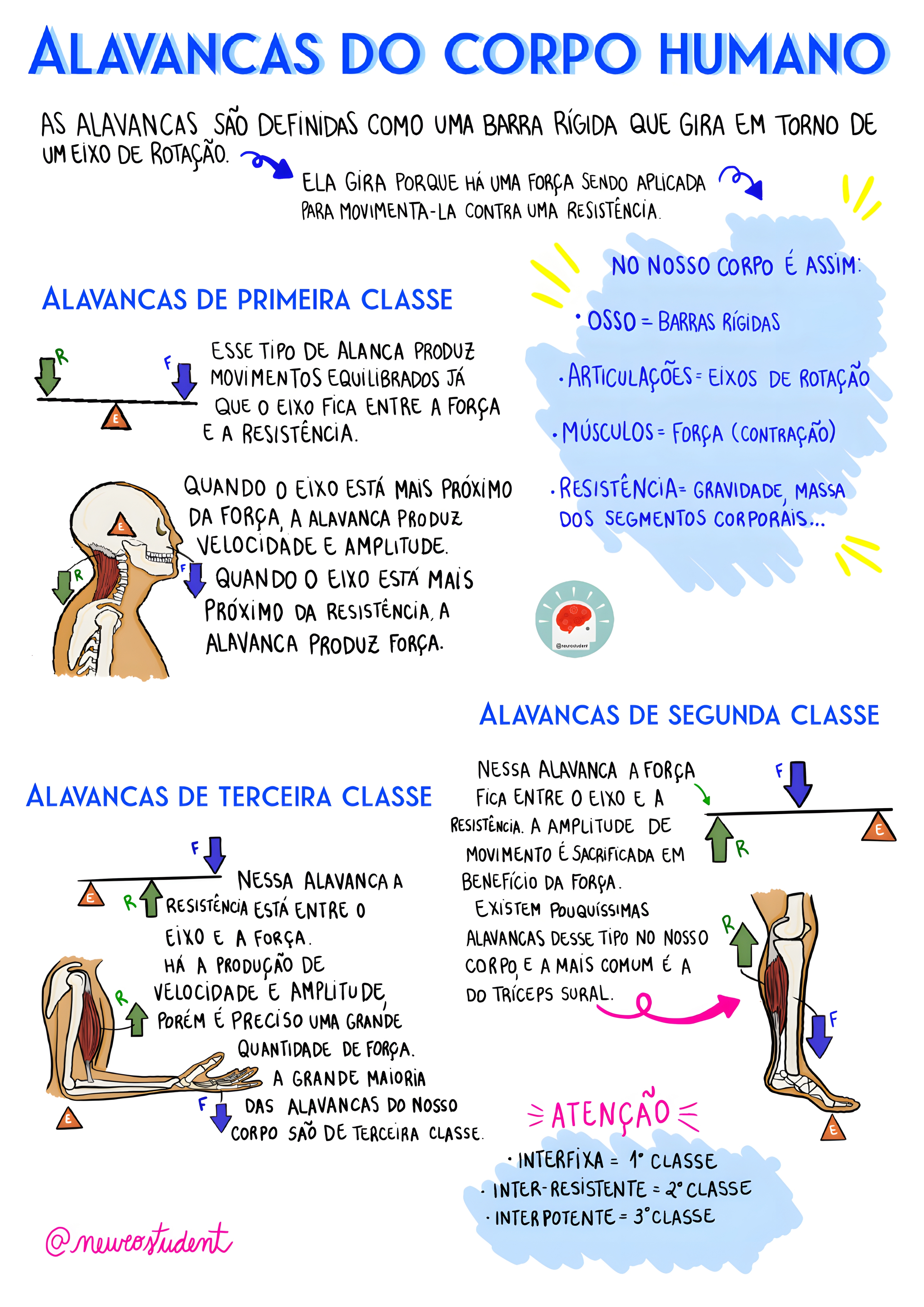 MAPA MENTAL SOBRE ALAVANCAS