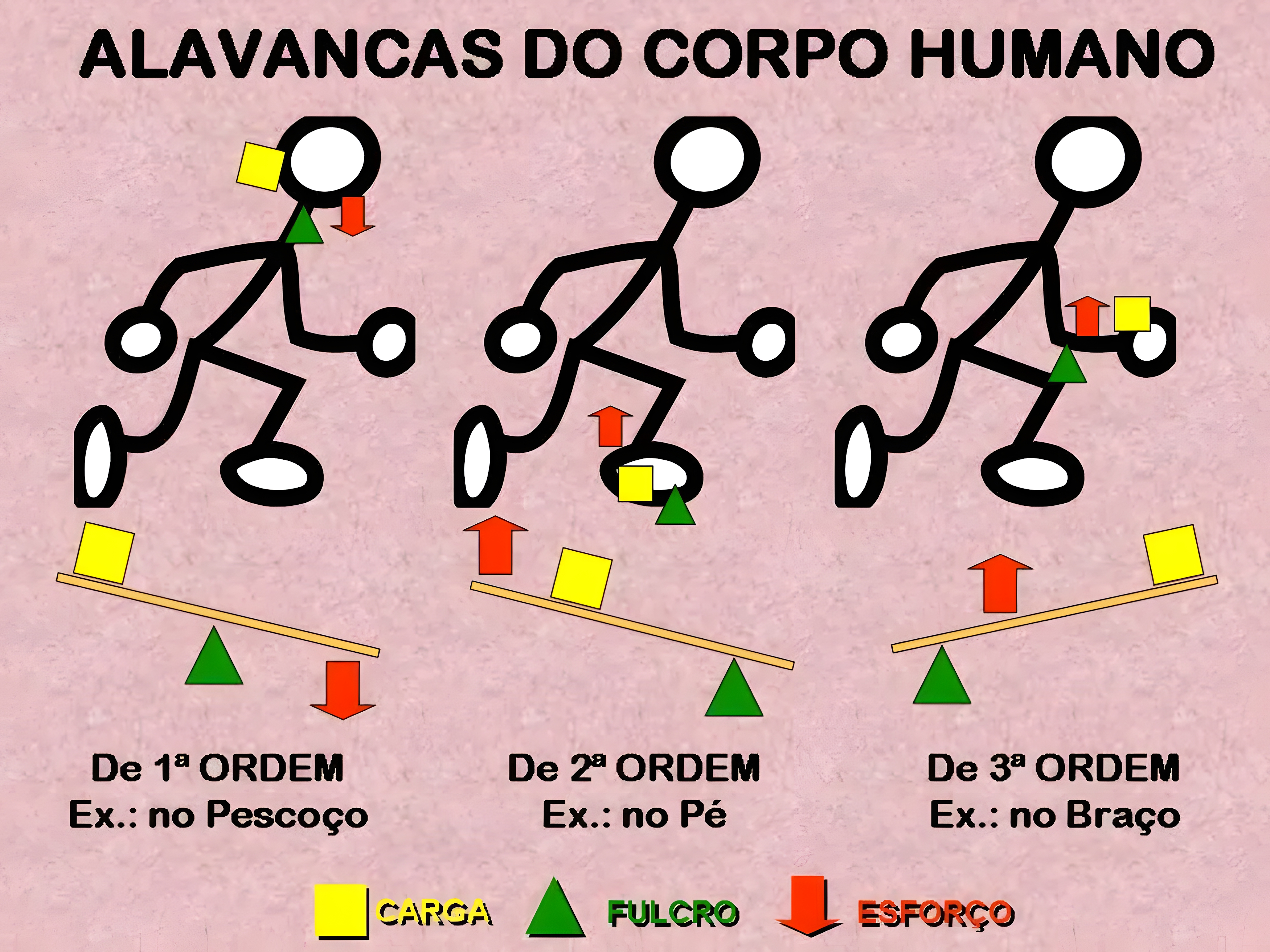 MAPA MENTAL SOBRE ALAVANCAS
