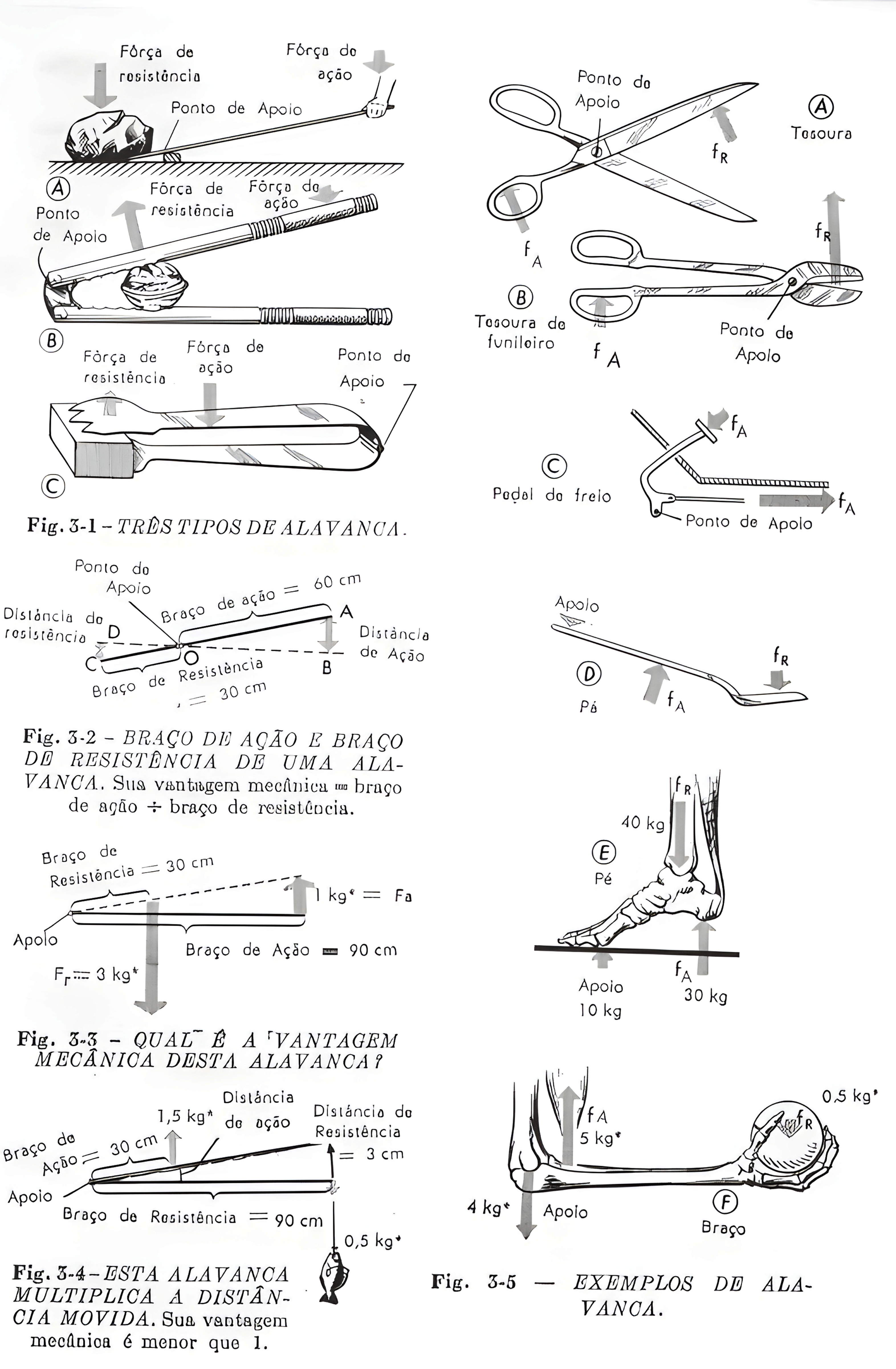 MAPA MENTAL SOBRE ALAVANCAS
