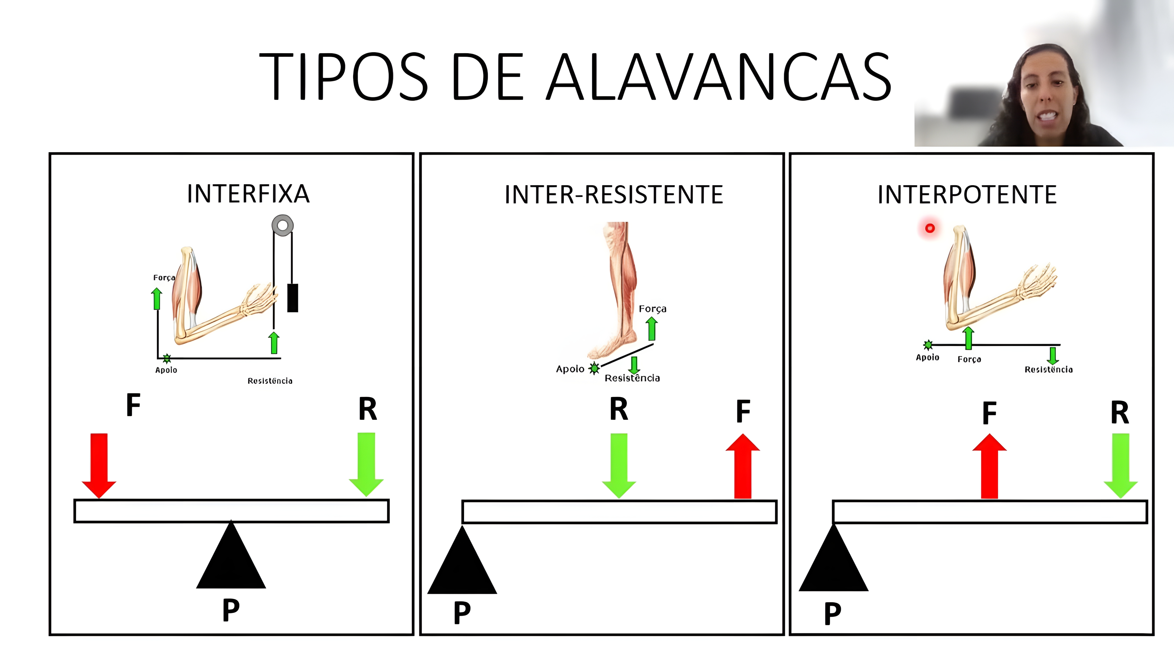 MAPA MENTAL SOBRE ALAVANCAS