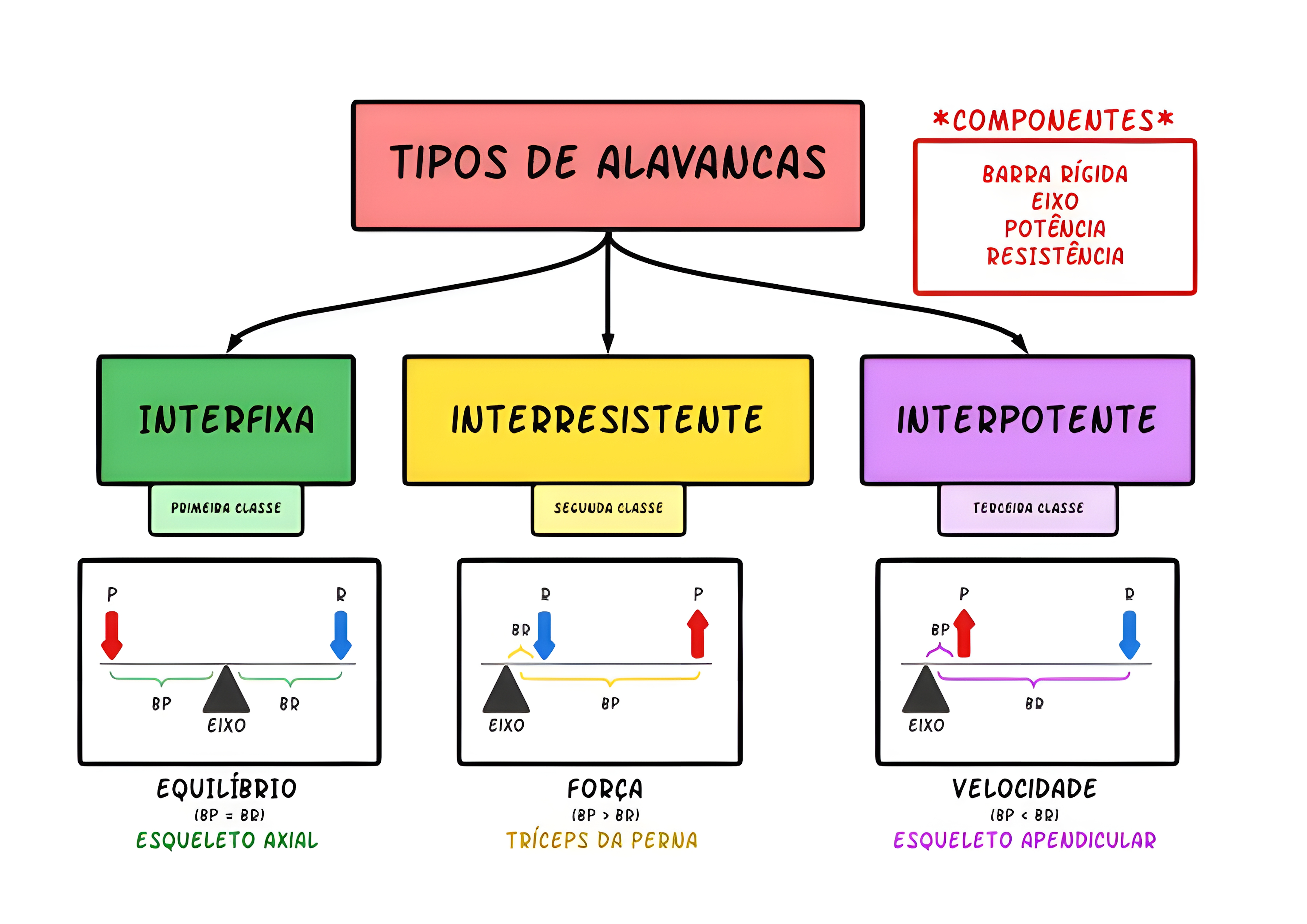 MAPA MENTAL SOBRE ALAVANCAS