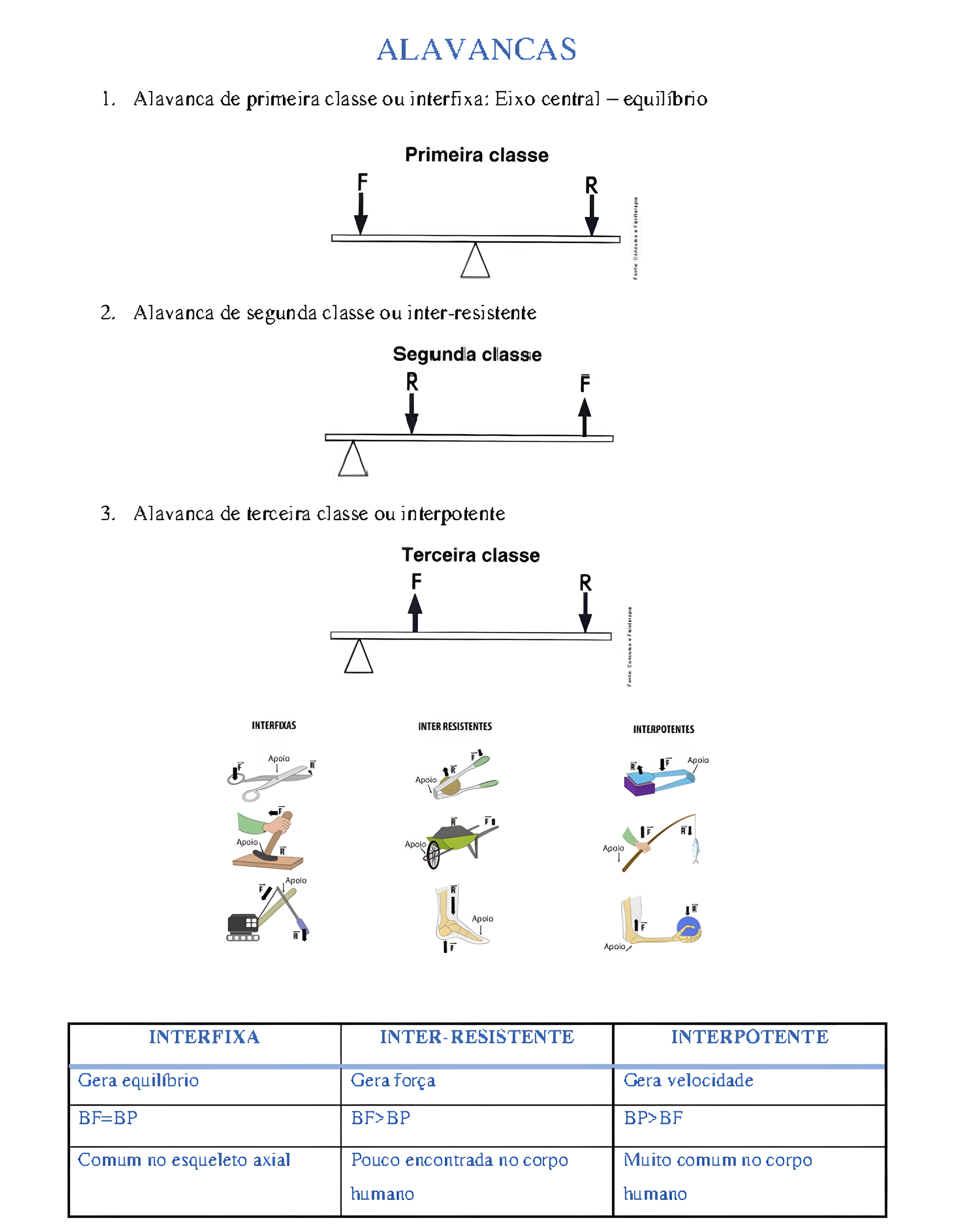 MAPA MENTAL SOBRE ALAVANCAS